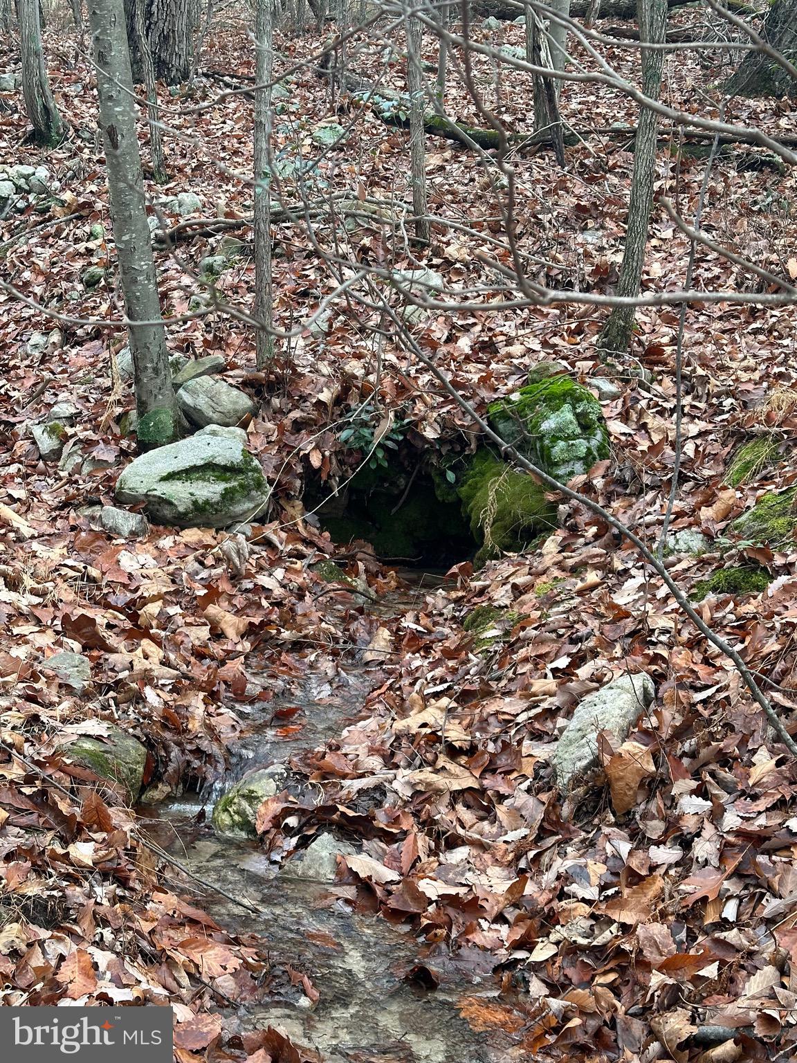 SUNDANCE MOUNTAIN - Residential