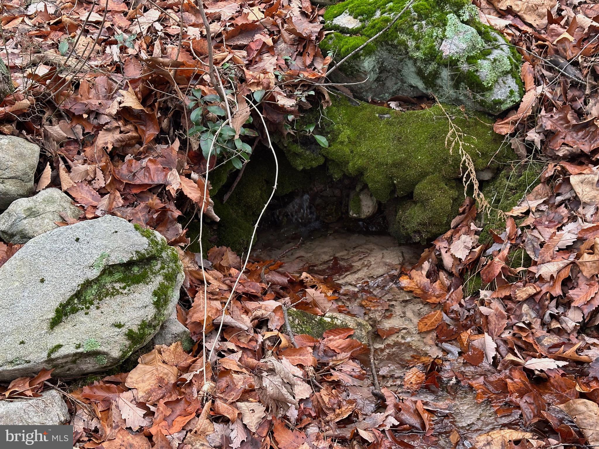 SUNDANCE MOUNTAIN - Residential