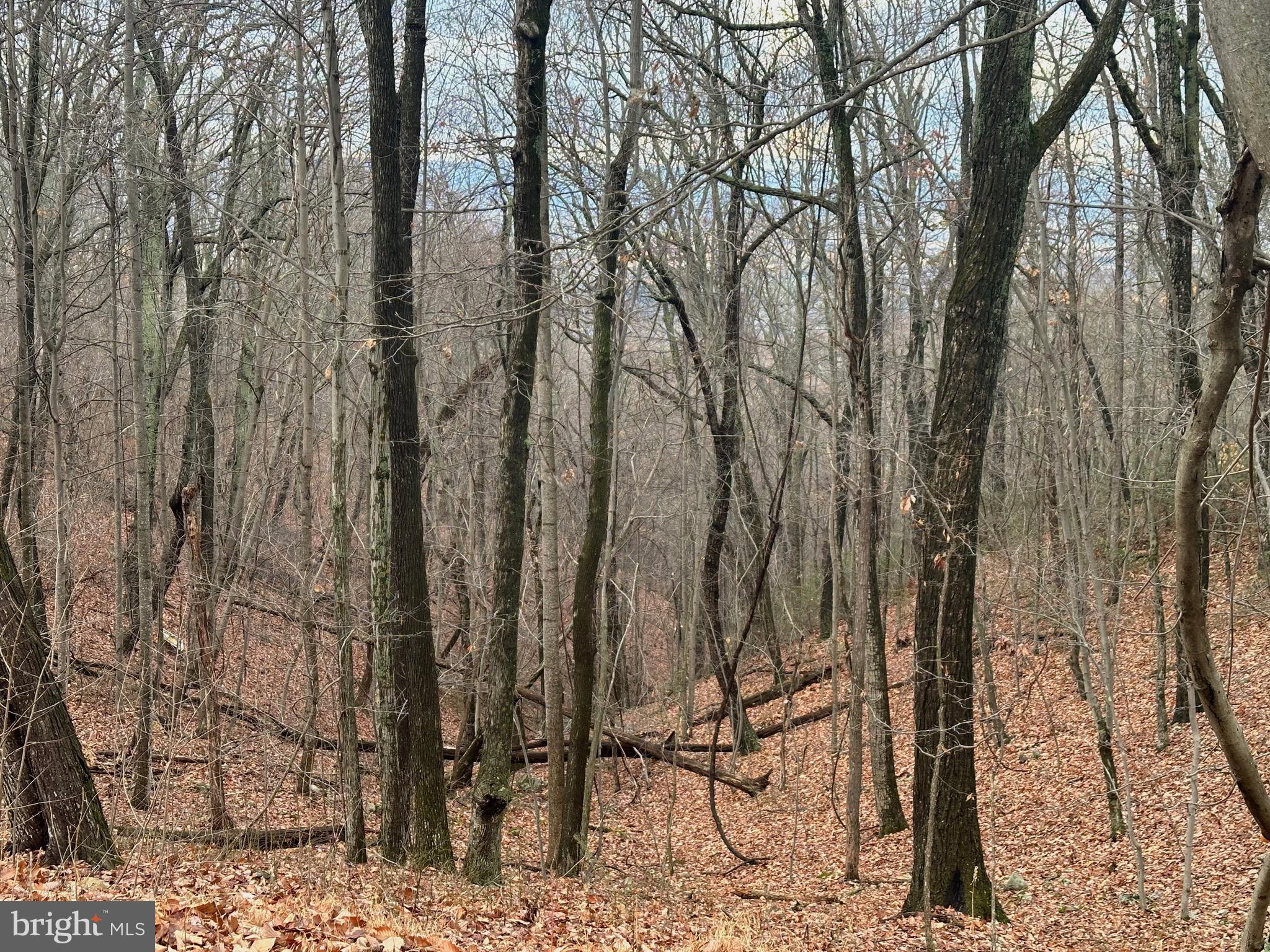 SUNDANCE MOUNTAIN - Residential