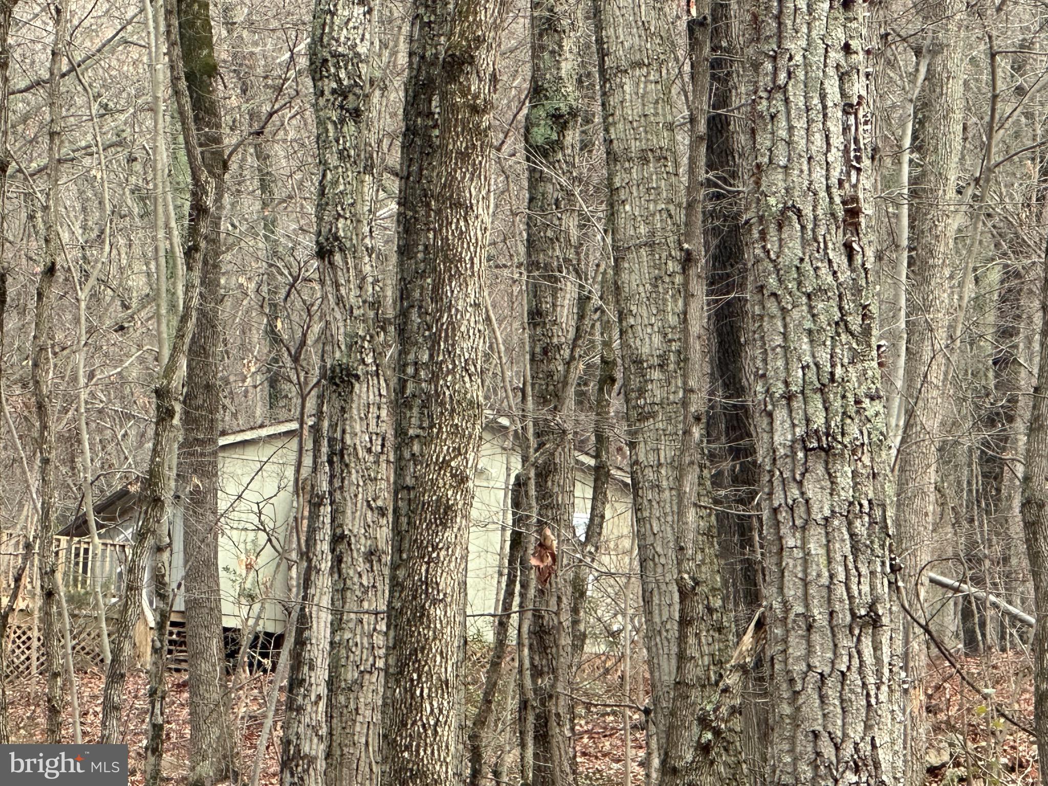 SUNDANCE MOUNTAIN - Residential