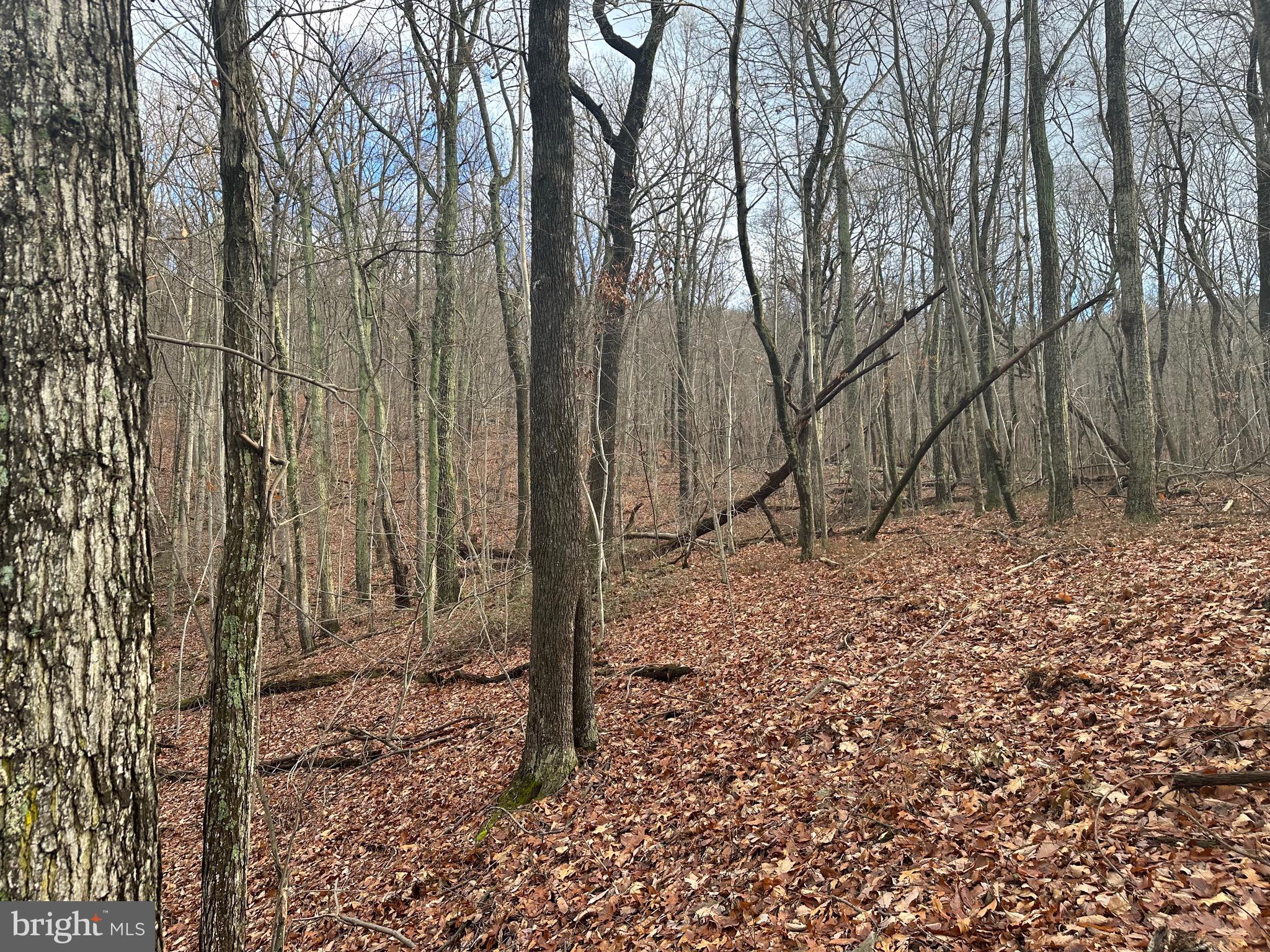 SUNDANCE MOUNTAIN - Residential