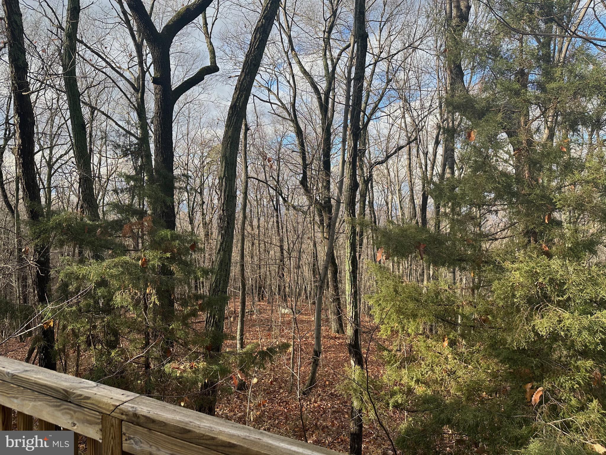 SUNDANCE MOUNTAIN - Residential