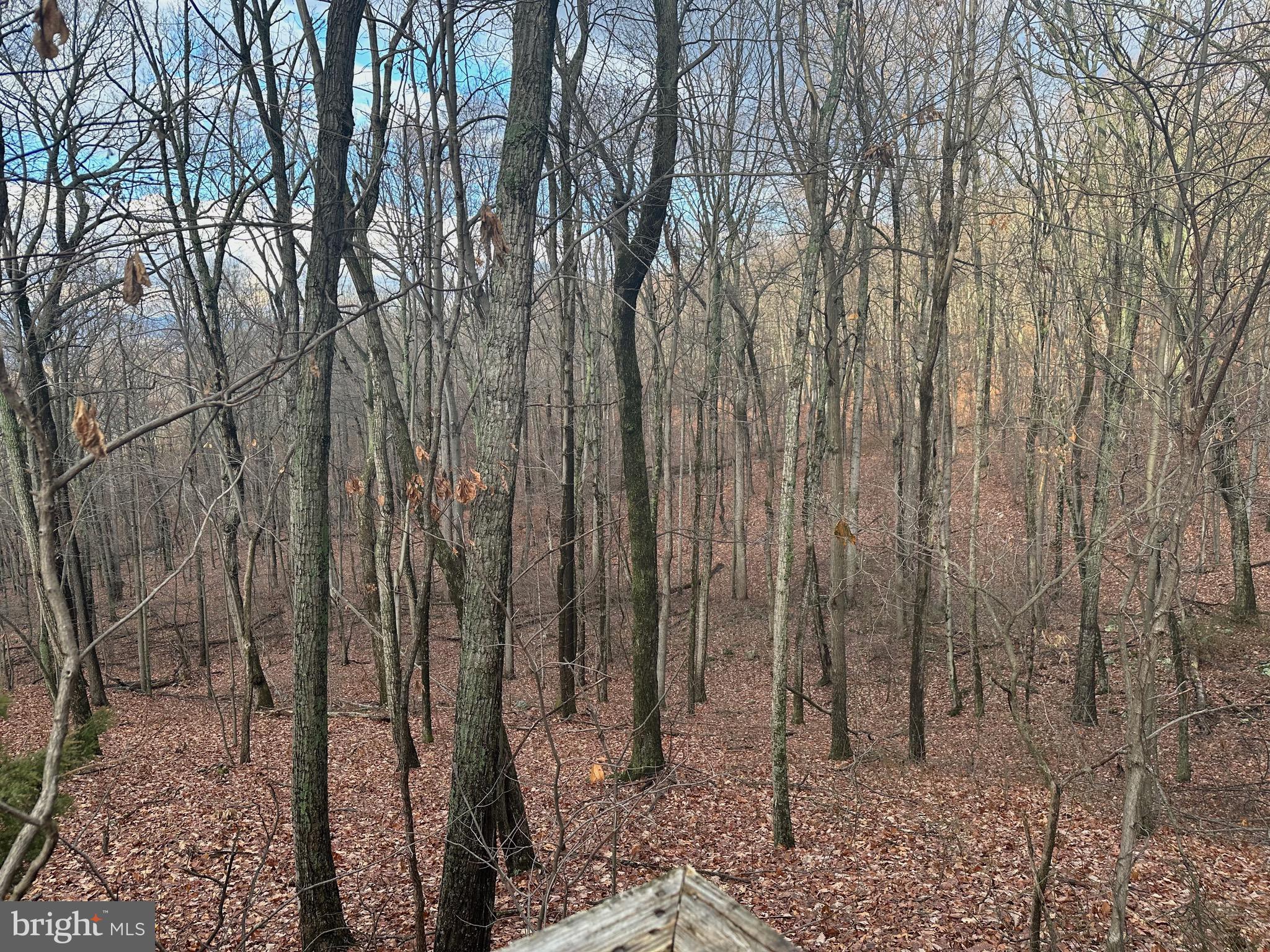 SUNDANCE MOUNTAIN - Residential