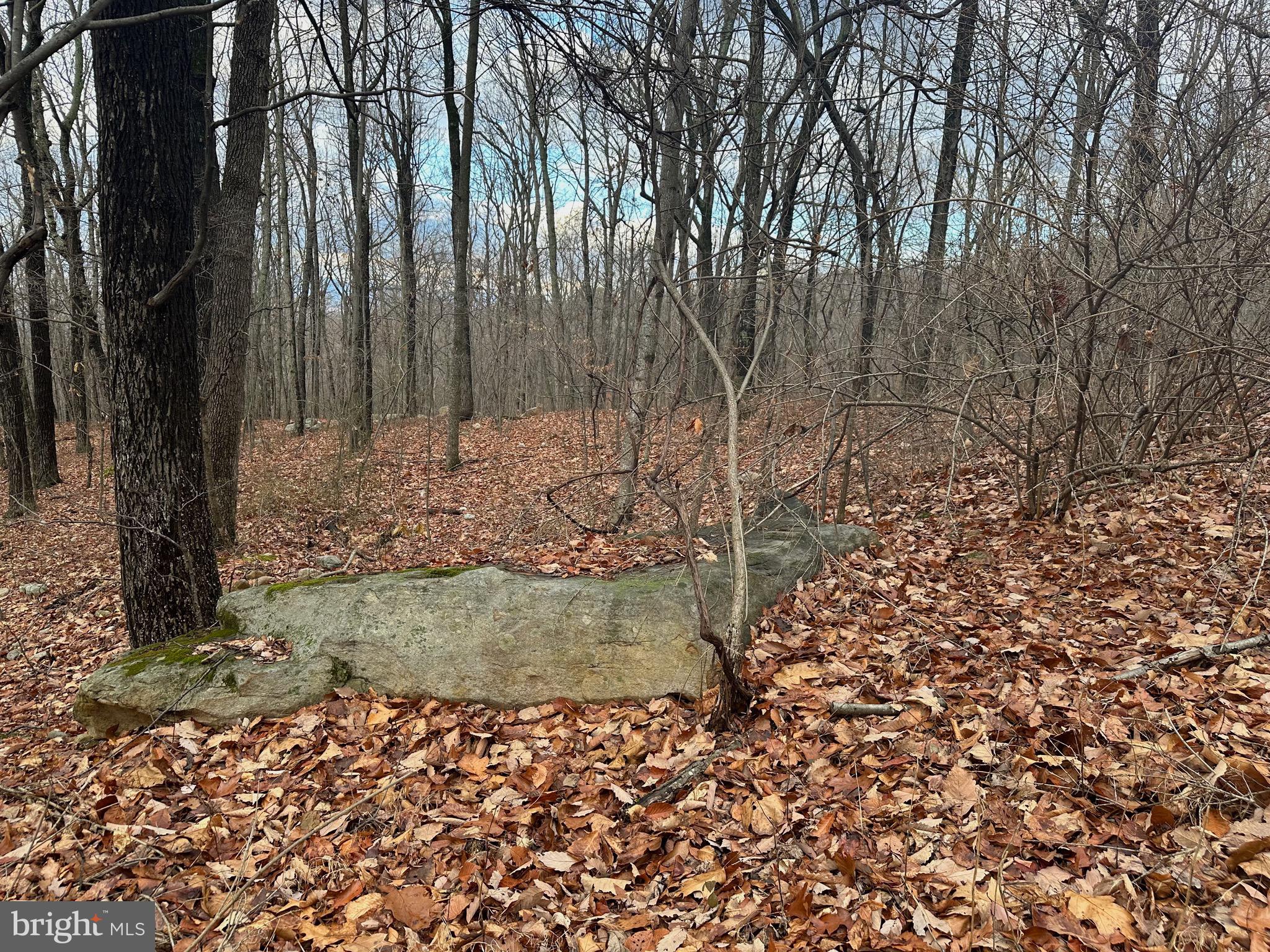 SUNDANCE MOUNTAIN - Residential