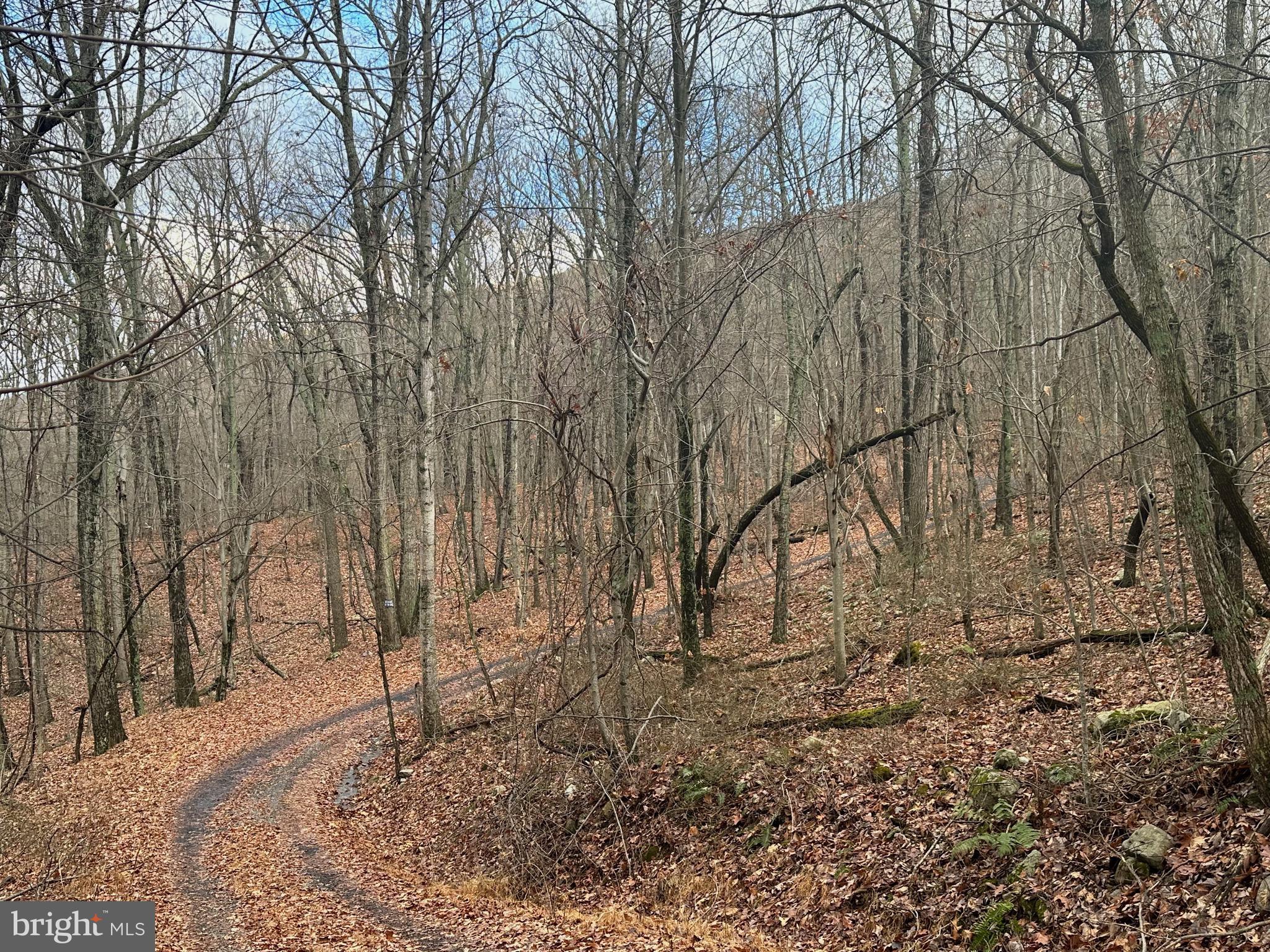 SUNDANCE MOUNTAIN - Residential