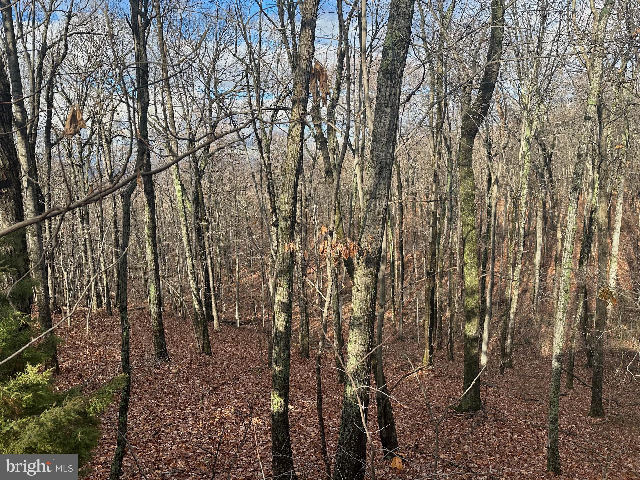 SUNDANCE MOUNTAIN - Residential