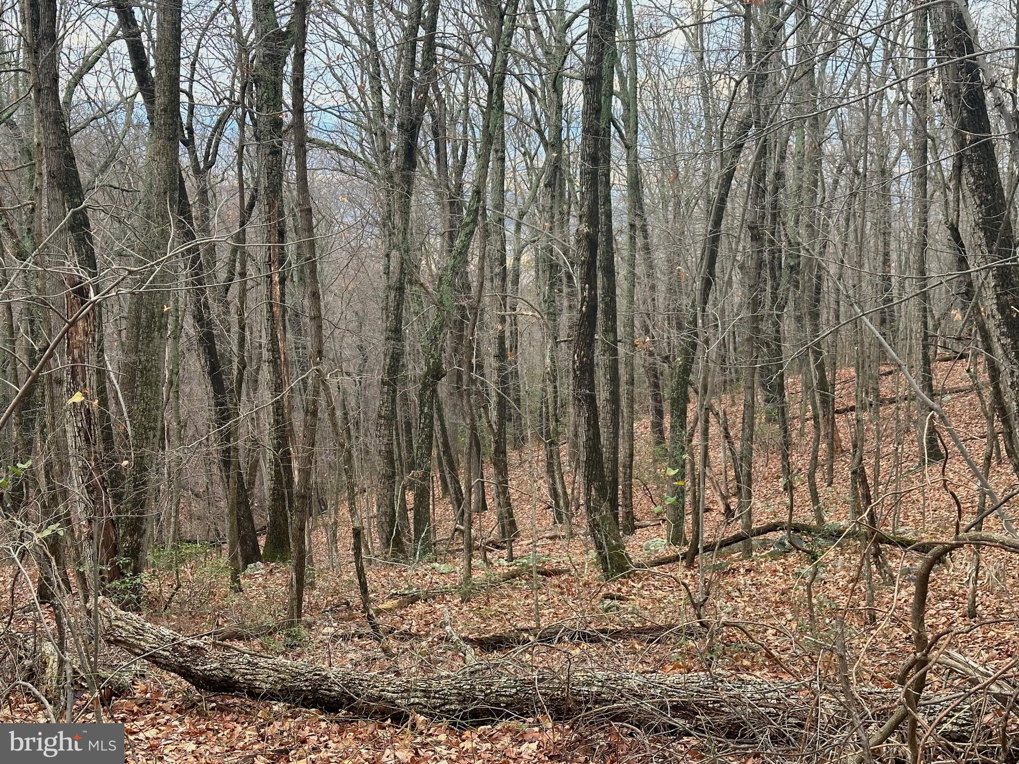 SUNDANCE MOUNTAIN - Residential