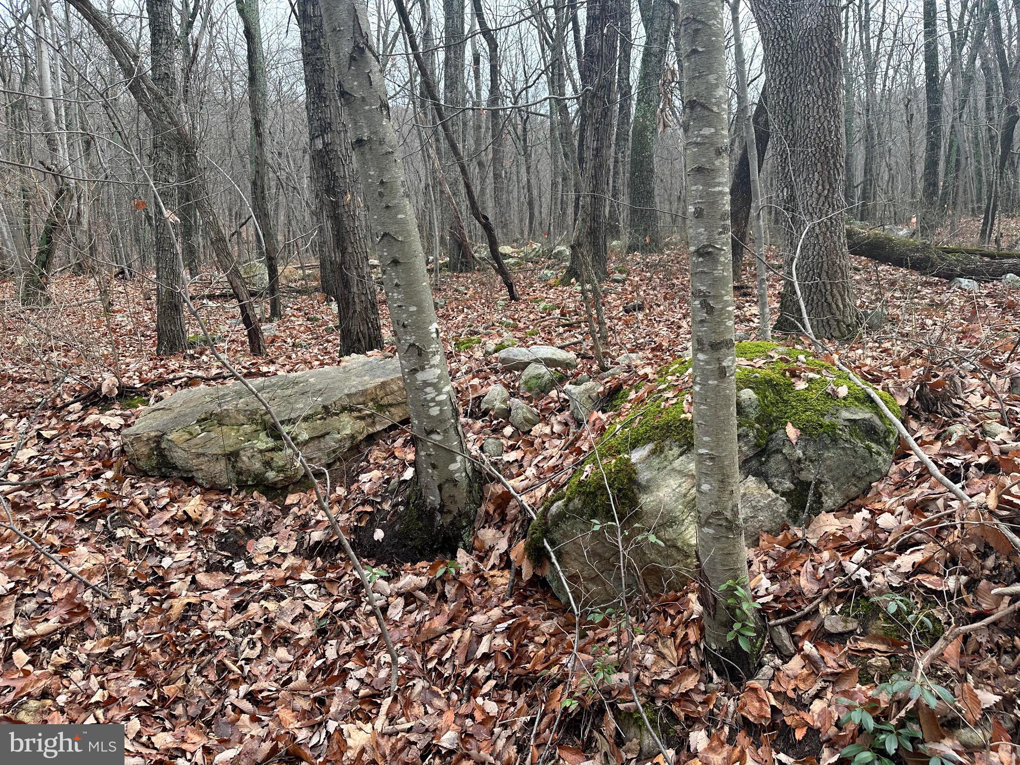 SUNDANCE MOUNTAIN - Residential