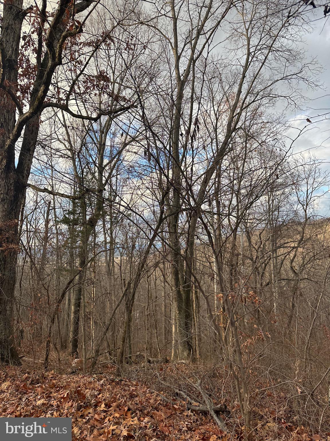 SUNDANCE MOUNTAIN - Residential