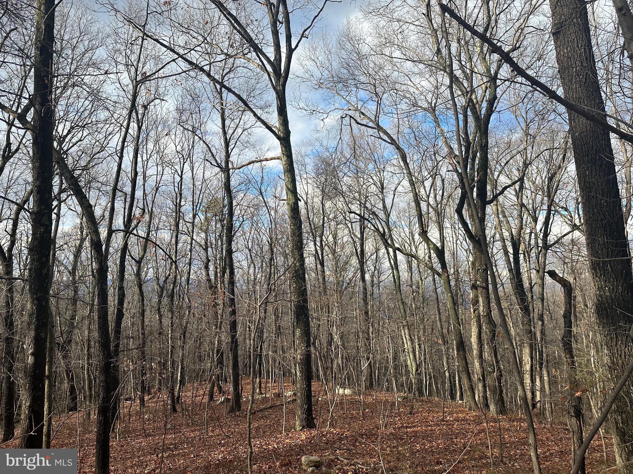 SUNDANCE MOUNTAIN - Residential