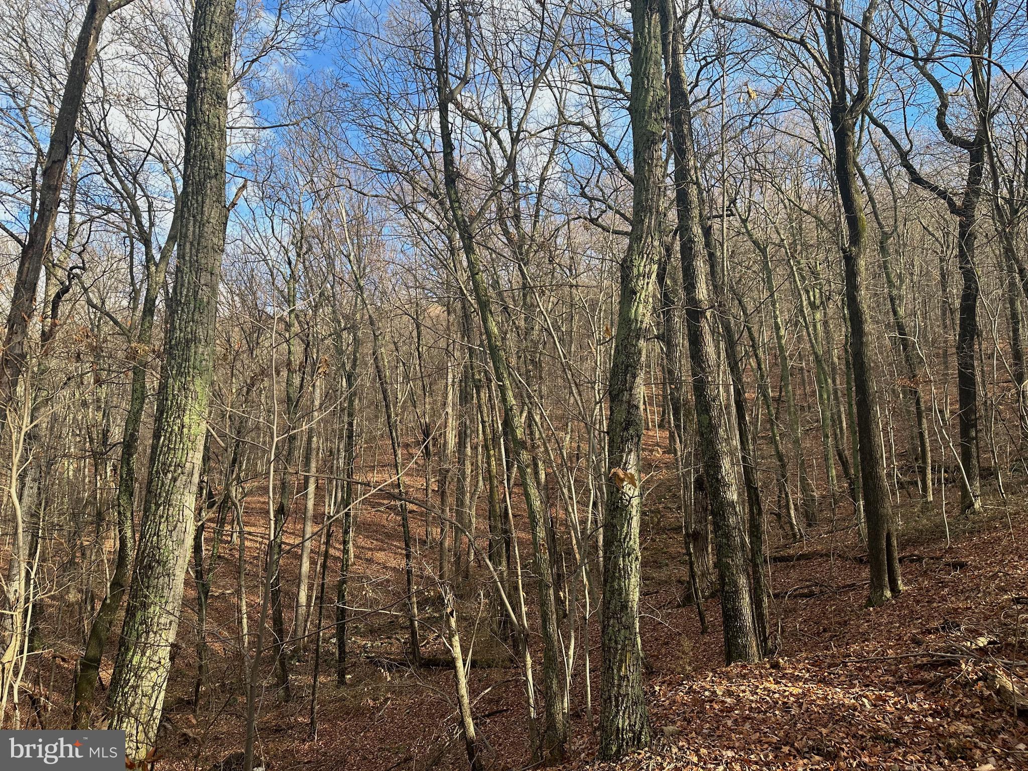 SUNDANCE MOUNTAIN - Residential