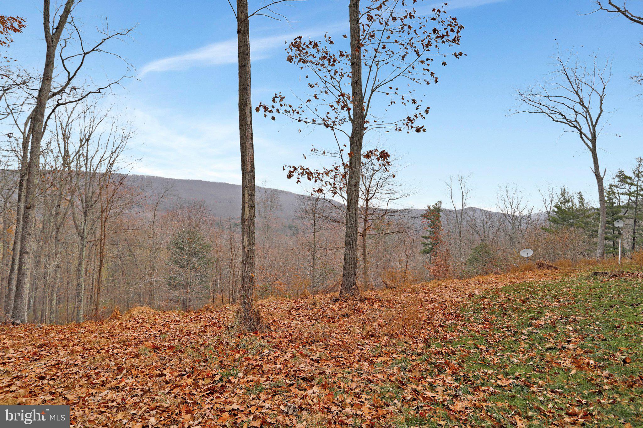 CAPON BRIDGE RESORT - Residential