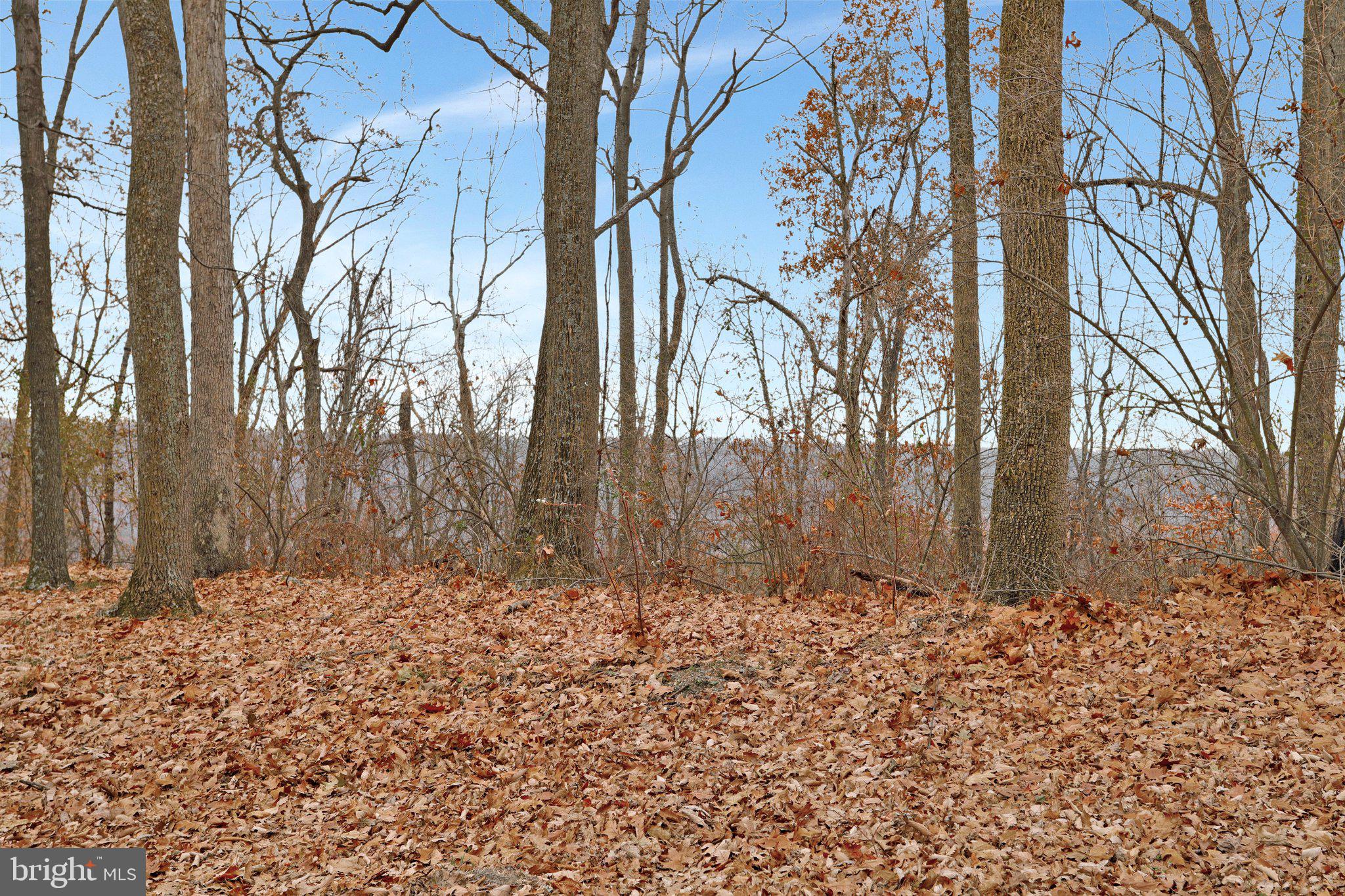 CAPON BRIDGE RESORT - Residential