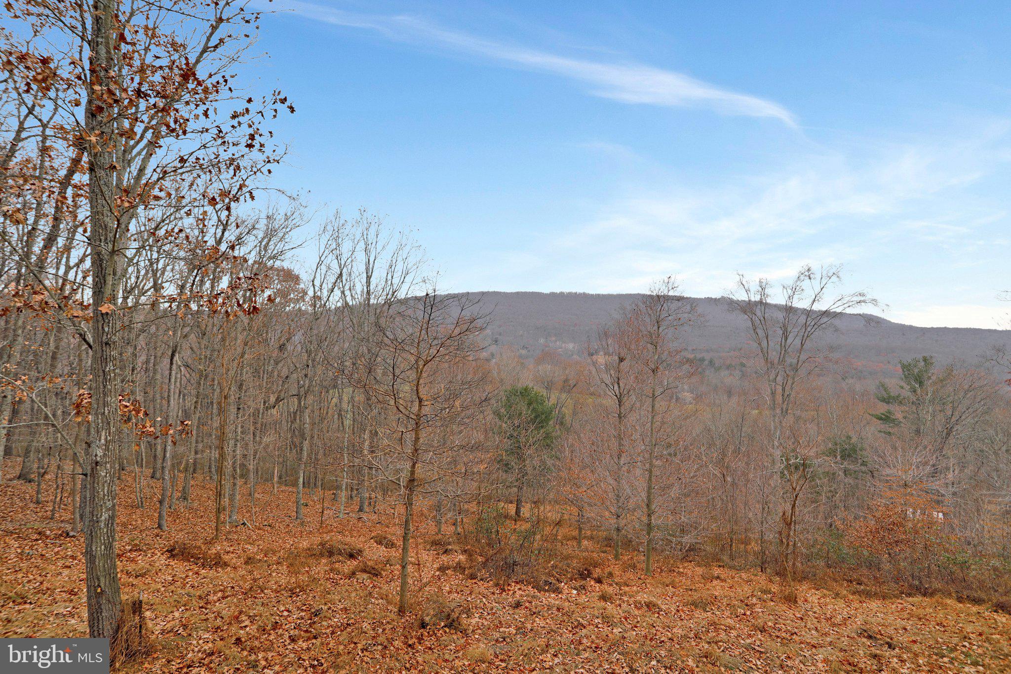 CAPON BRIDGE RESORT - Residential
