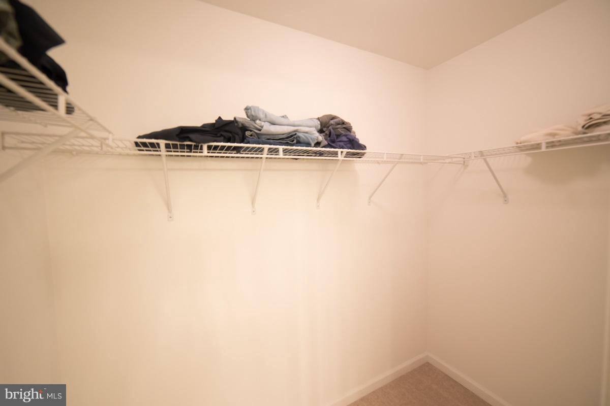 FOXTAILS MANOR - Residential