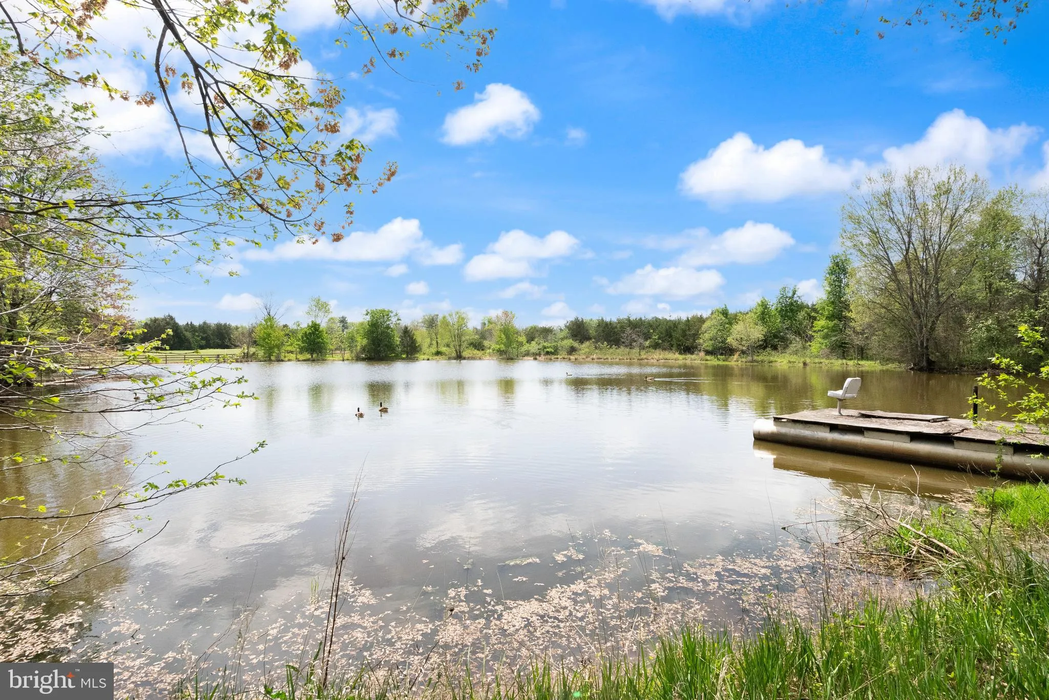 Nokesville, Virginia 20181, United States, 5 Bedrooms Bedrooms, ,4 BathroomsBathrooms,Residential,Coming Soon,97173