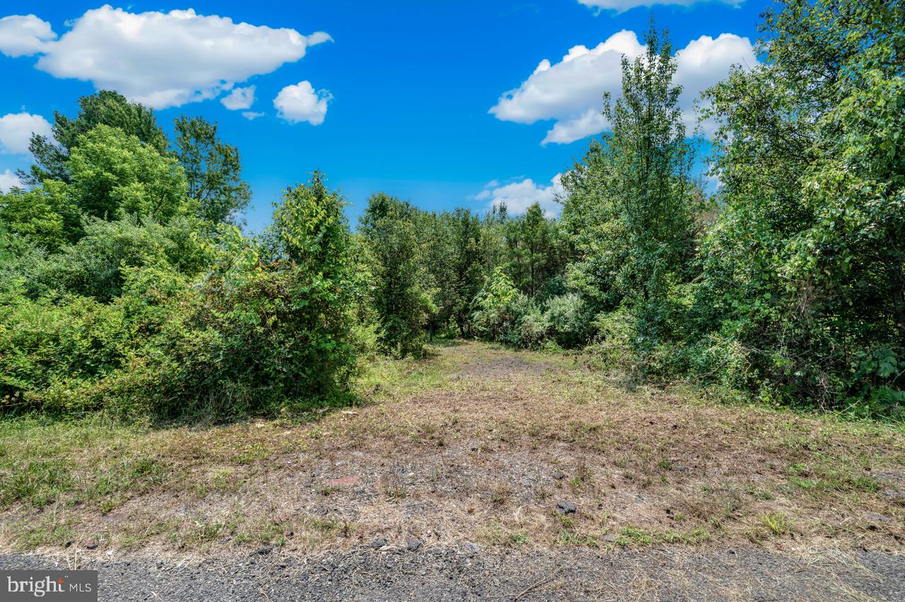 BRADDOCK ROAD - Land