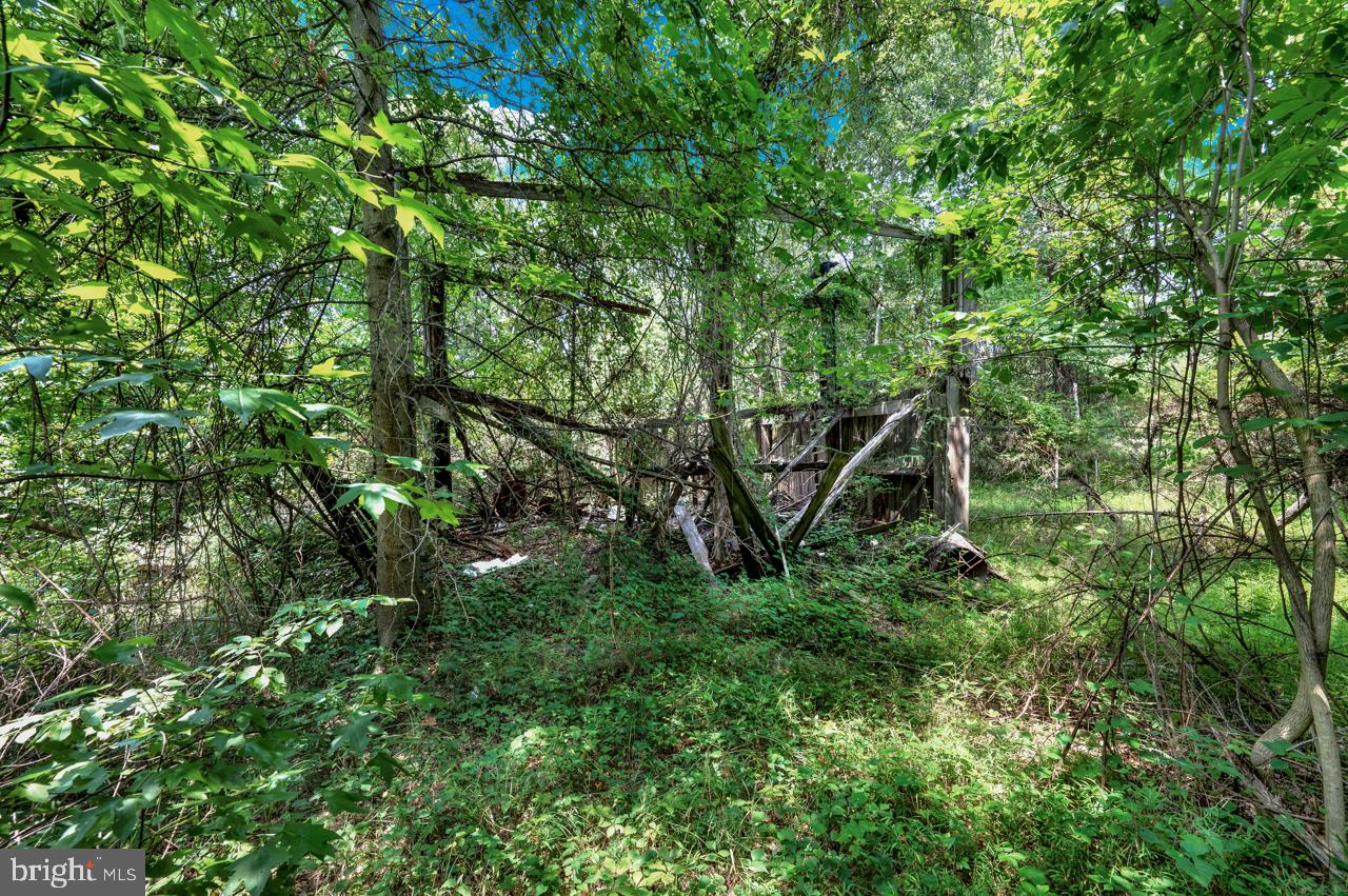 BRADDOCK ROAD - Land