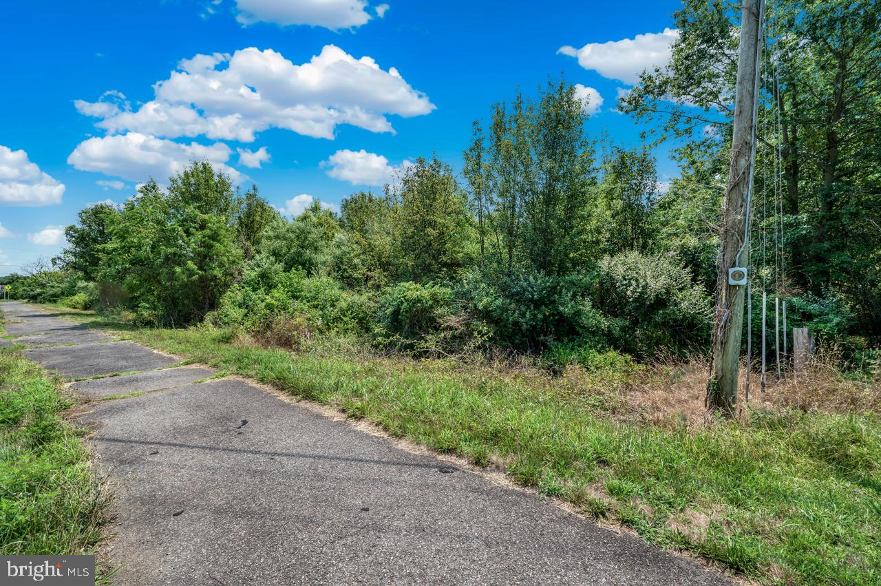 BRADDOCK ROAD - Land