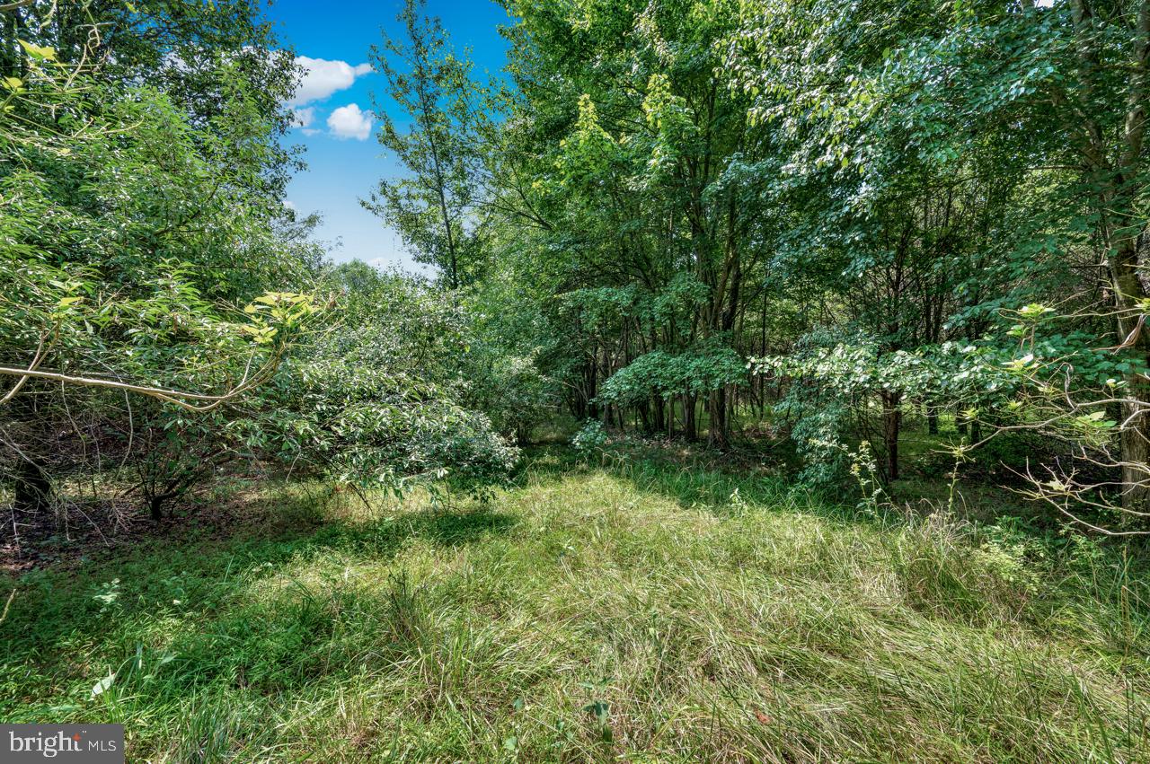 BRADDOCK ROAD - Land