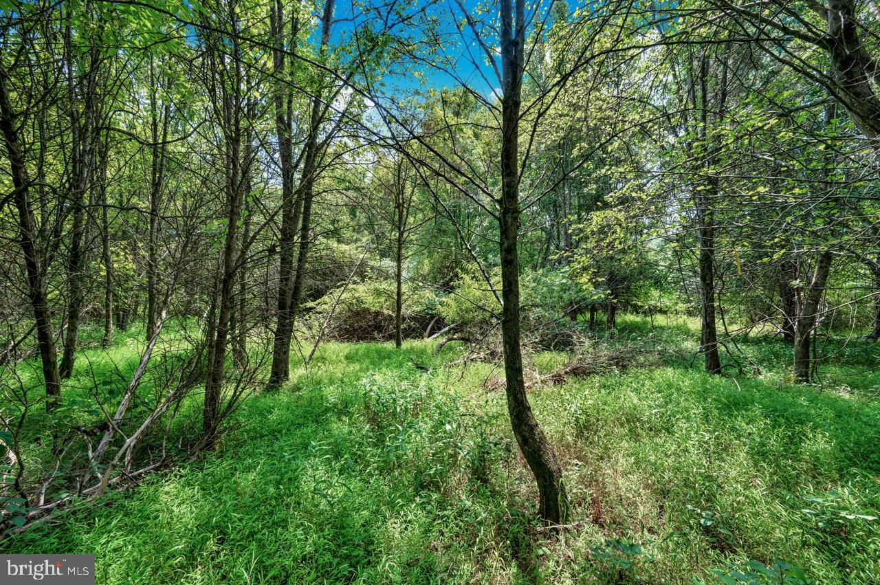 BRADDOCK ROAD - Land