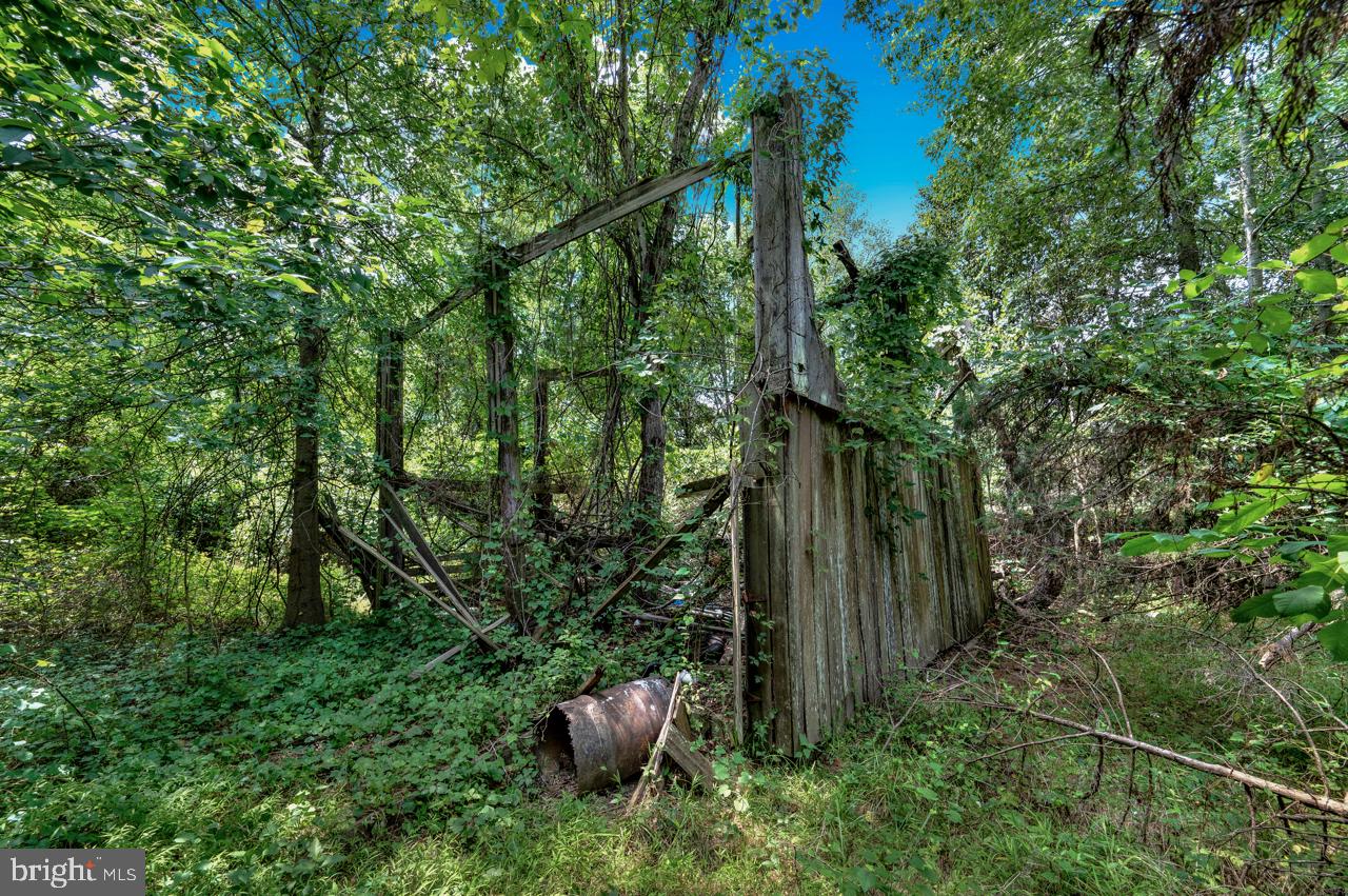 BRADDOCK ROAD - Land