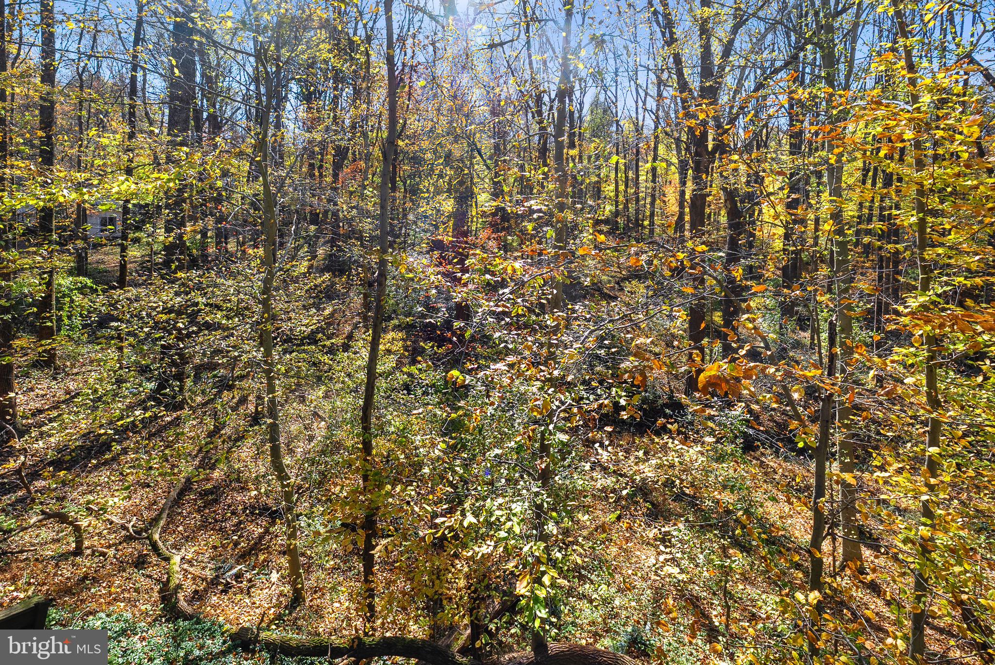 MERRYMANS MILL - Residential