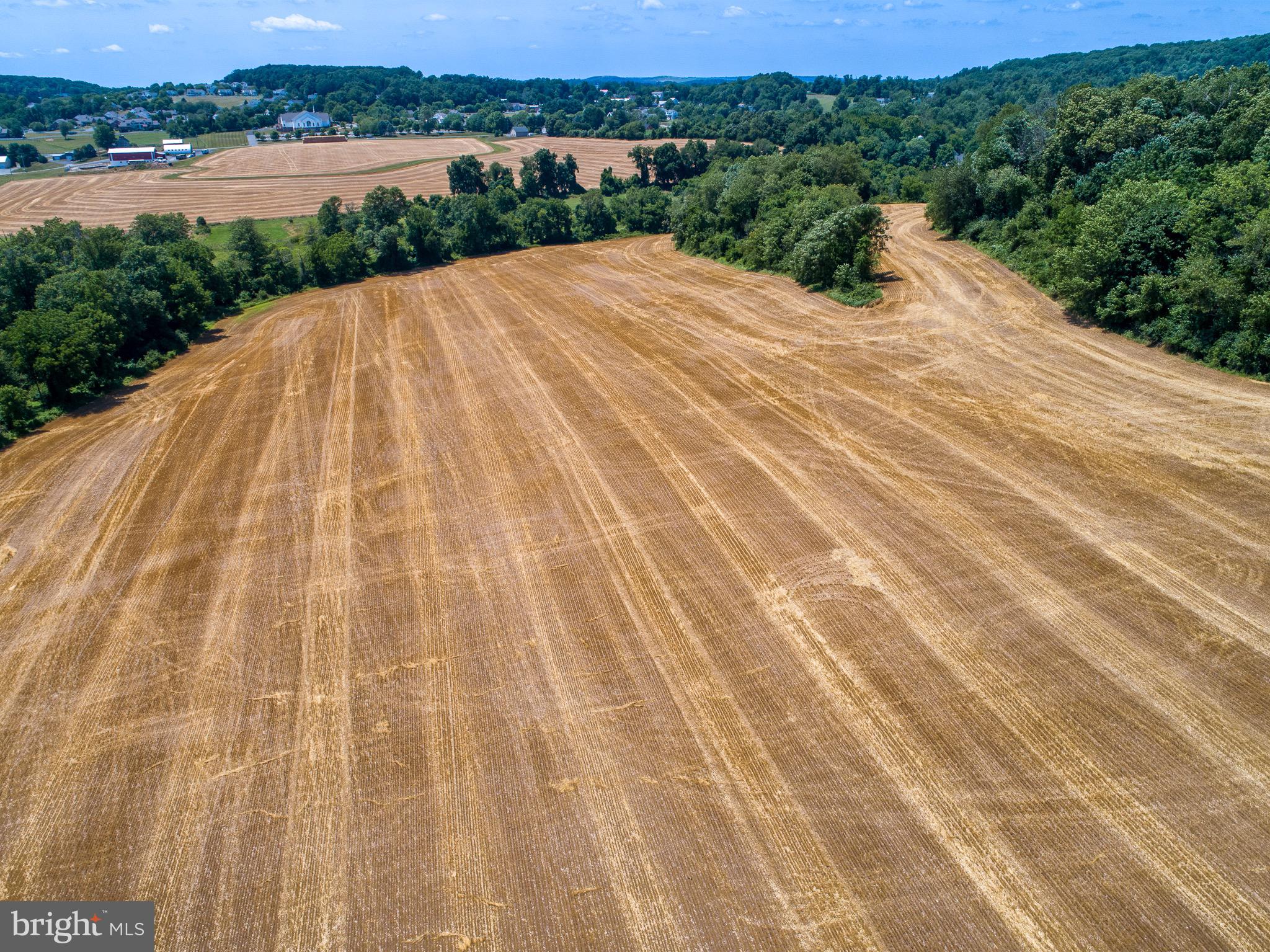 NONE AVAILABLE - Farm