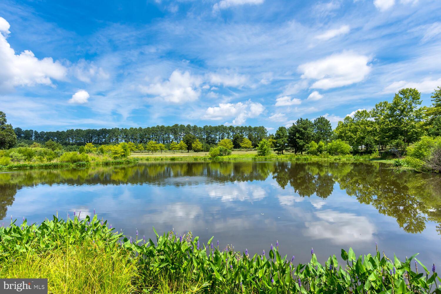 EASTON VILLAGE - Residential