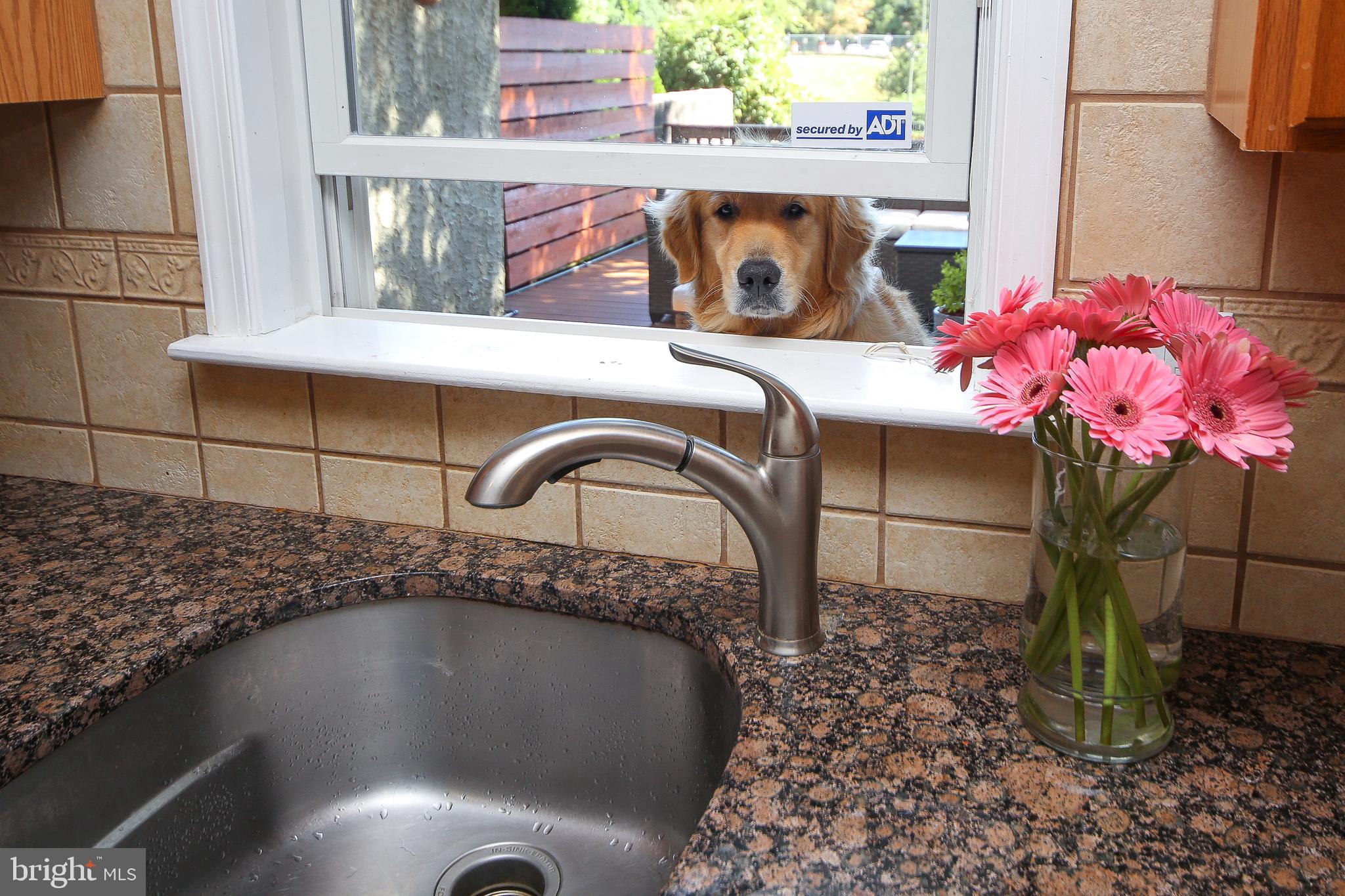 EAST FALLS - Residential