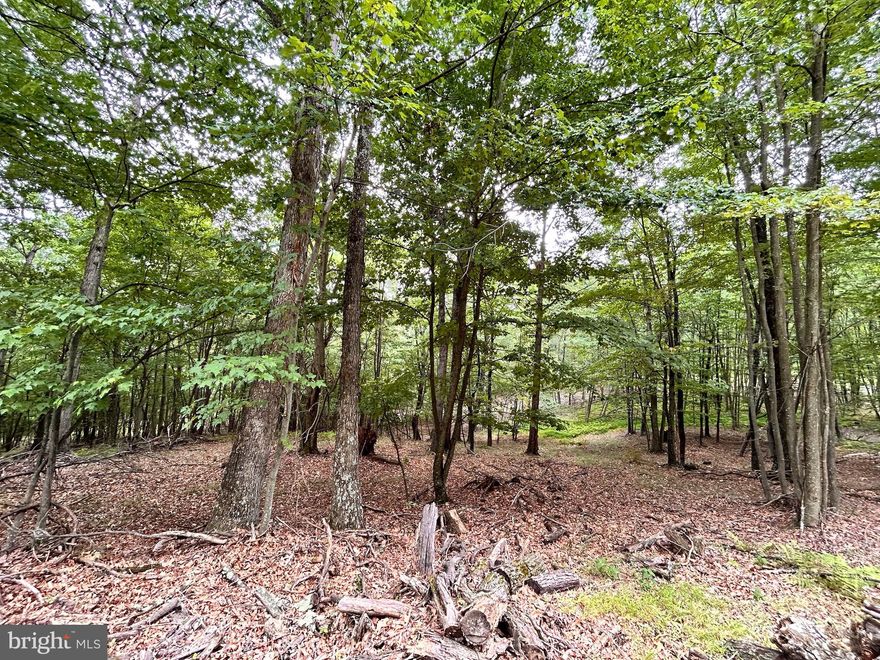 This beautiful 25.86 acres is the perfect place to build your dream home! Seller has already had well and septic installed, and there is electric on site. There is a shed ajoined to a single-wide manufactured home. This property has a spring located on it and has plenty of usable land.  Seller has checked into timbering the land, but has never done so. High-speed fiber optic internet is available. Make an appointment to see this hidden gem today!