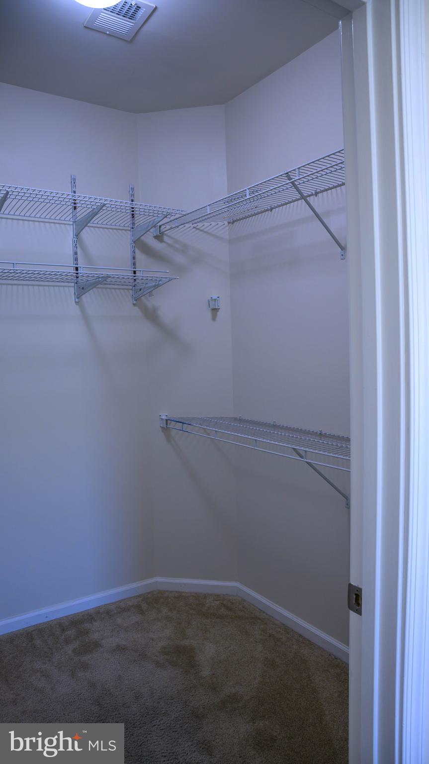 BALLARD GREEN - Residential