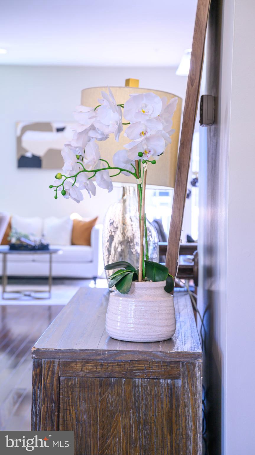 BALLARD GREEN - Residential