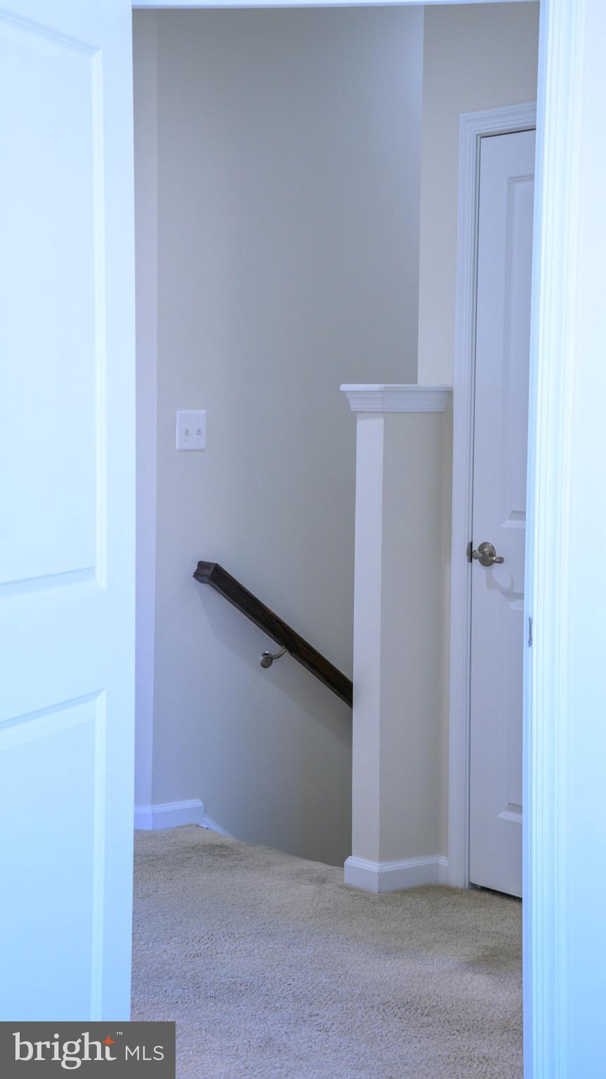 BALLARD GREEN - Residential