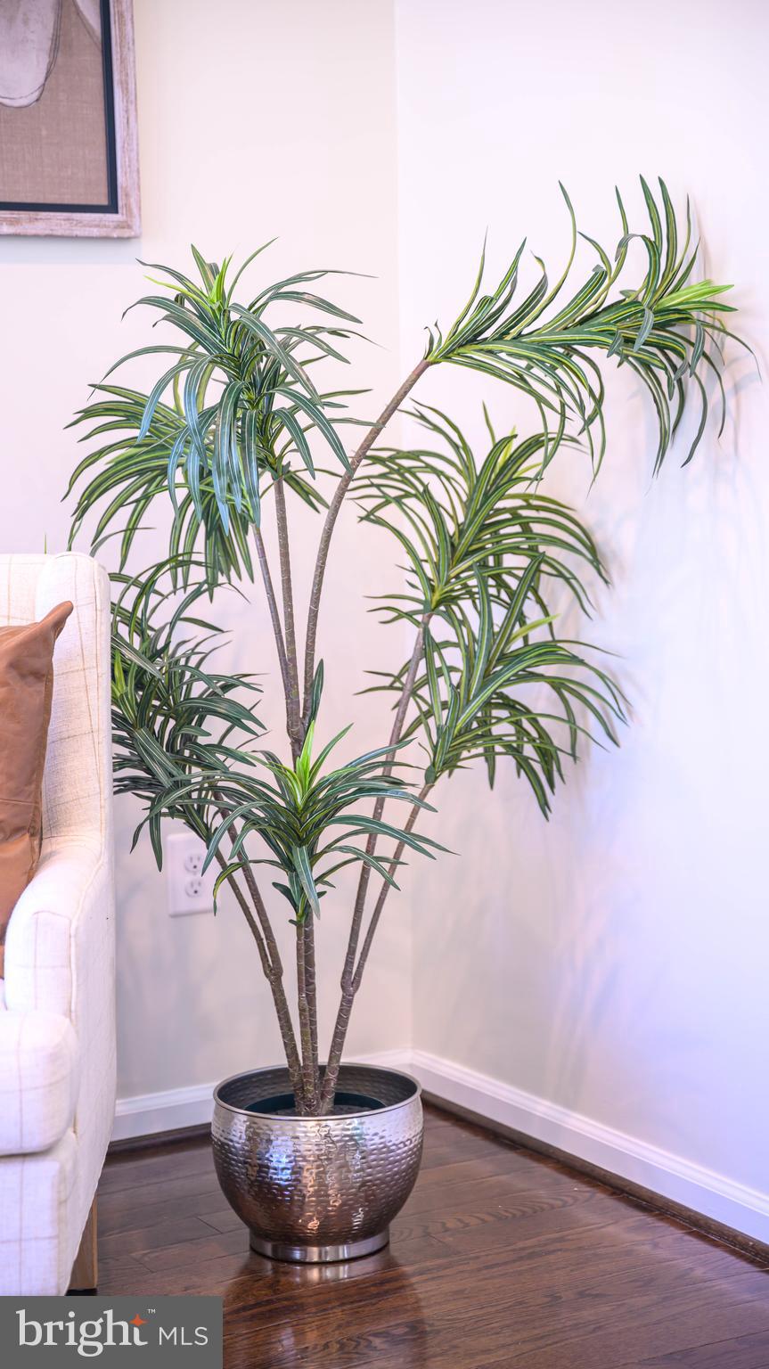 BALLARD GREEN - Residential