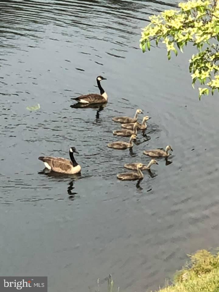 THE WOODS - Residential