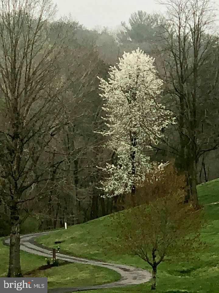 THE WOODS - Residential