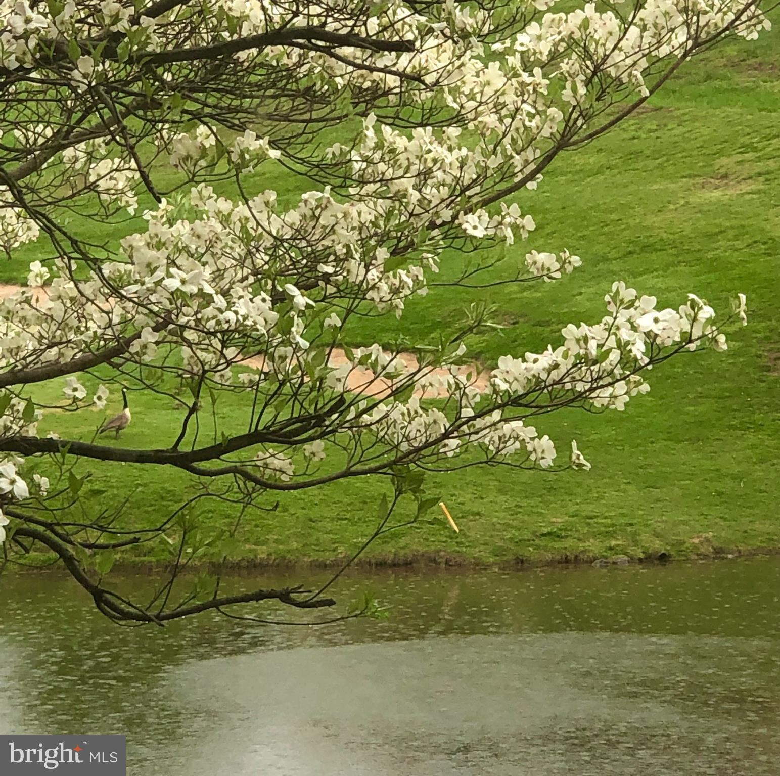 THE WOODS - Residential