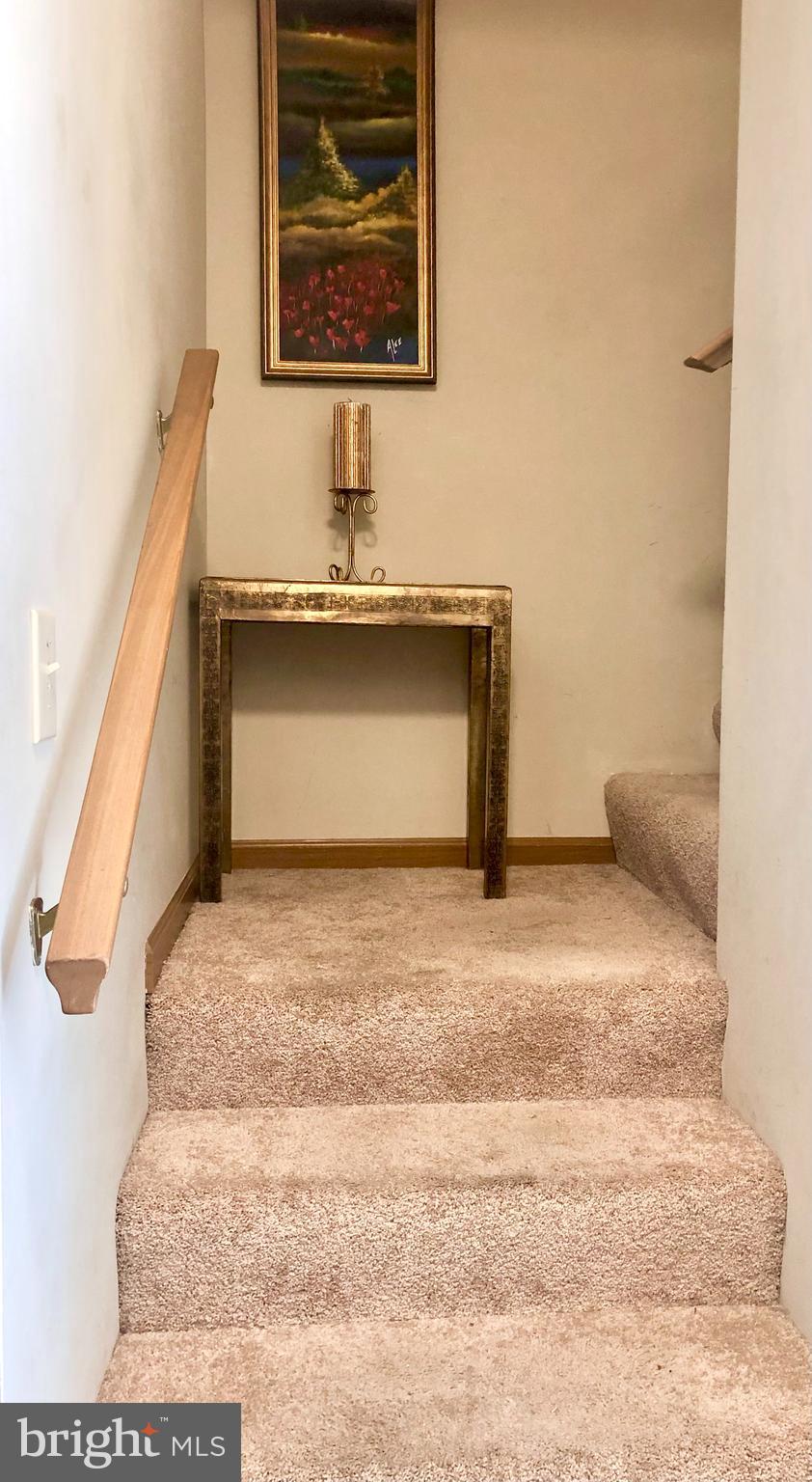 THE WOODS - Residential