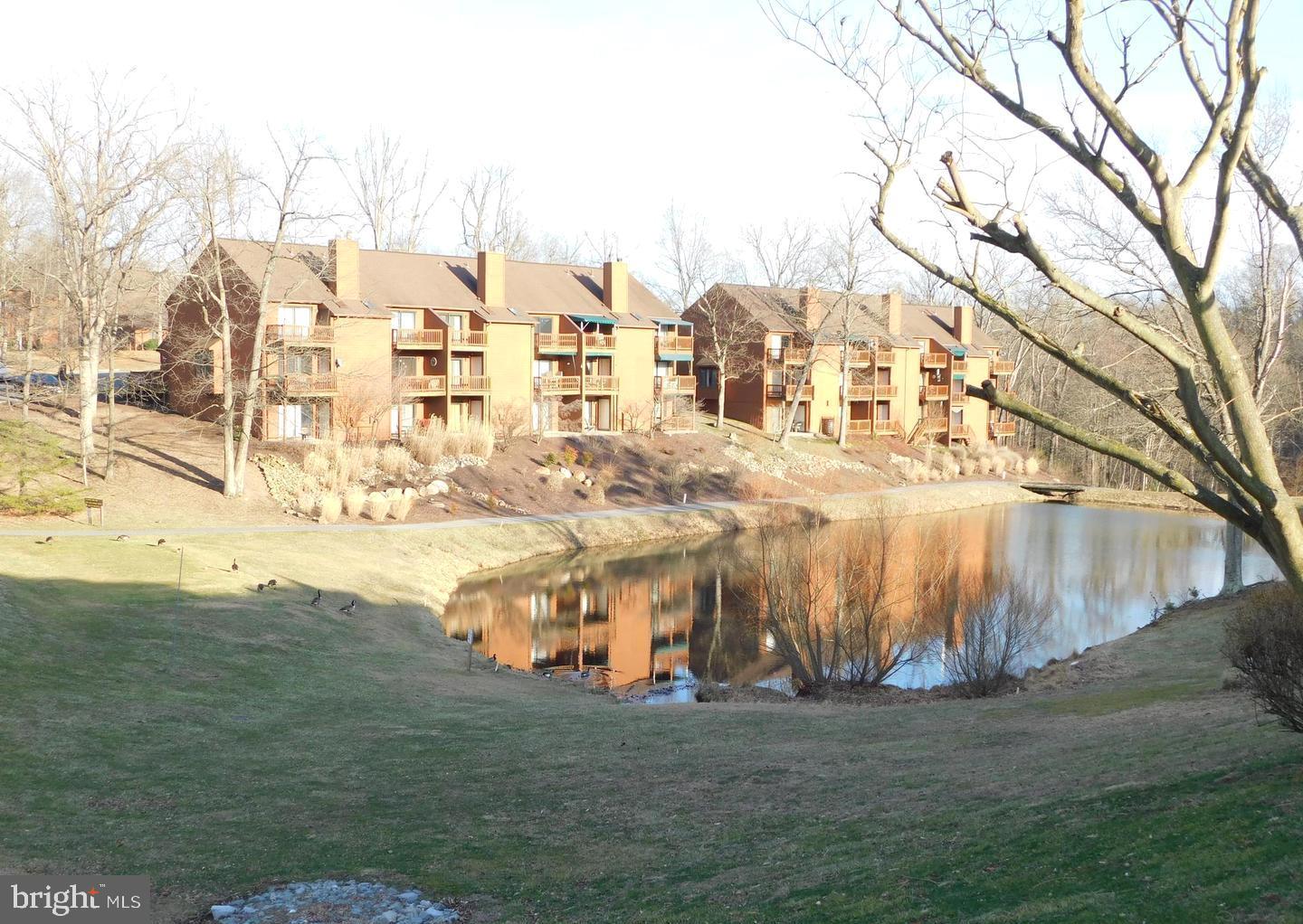 THE WOODS - Residential