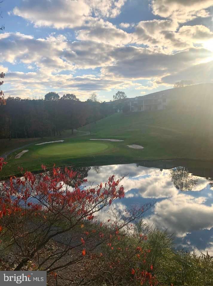 THE WOODS - Residential