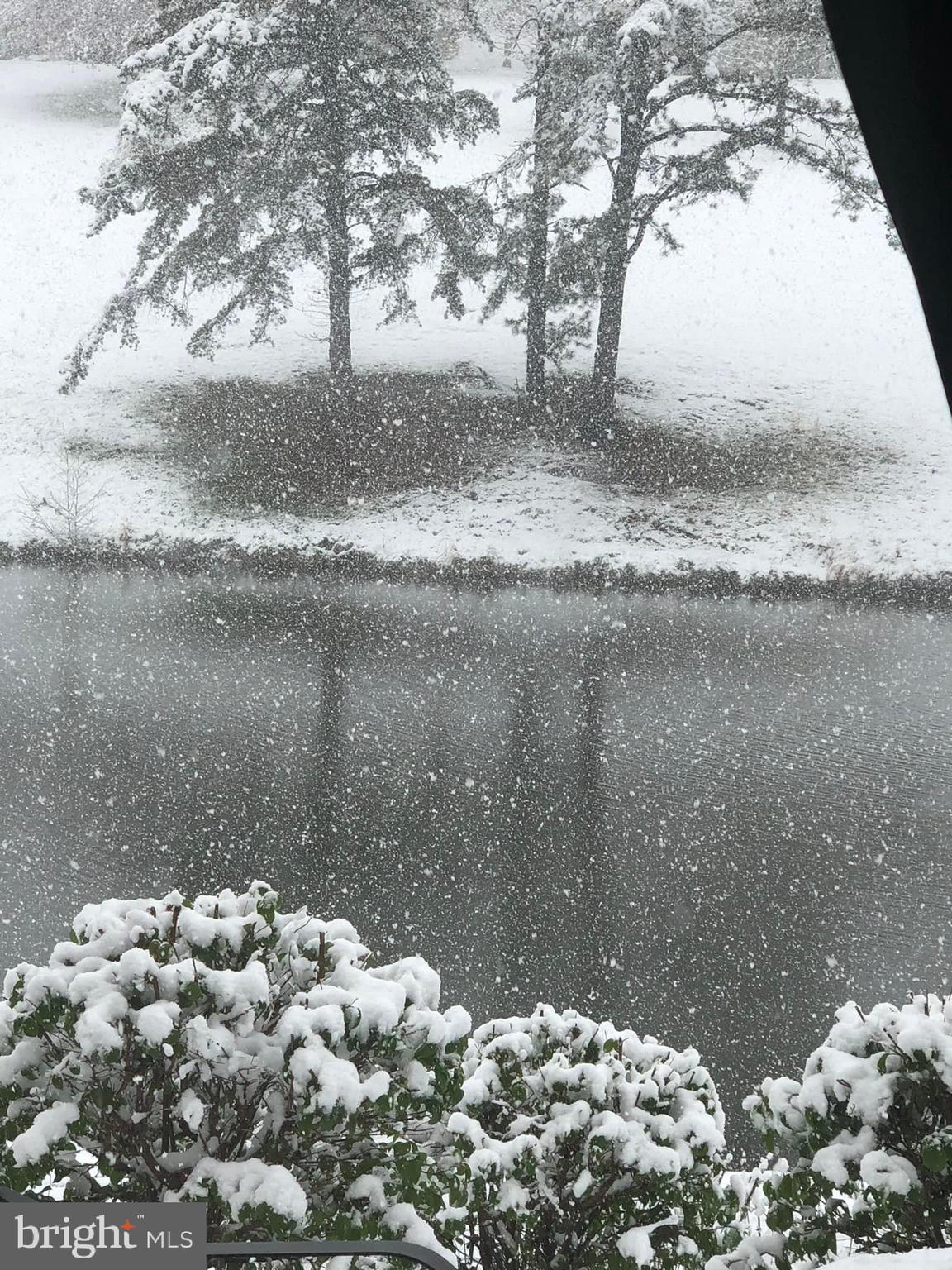 THE WOODS - Residential