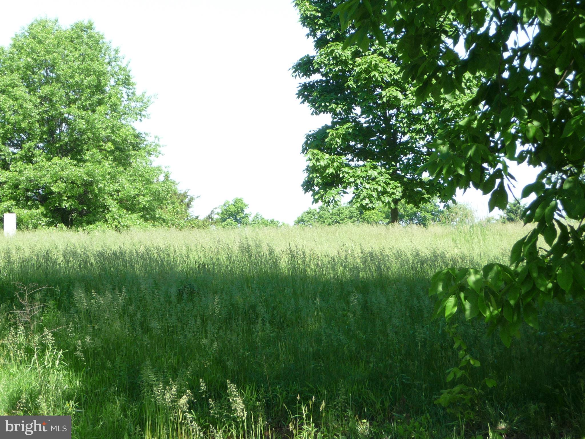 CEDAR MANOR - Residential