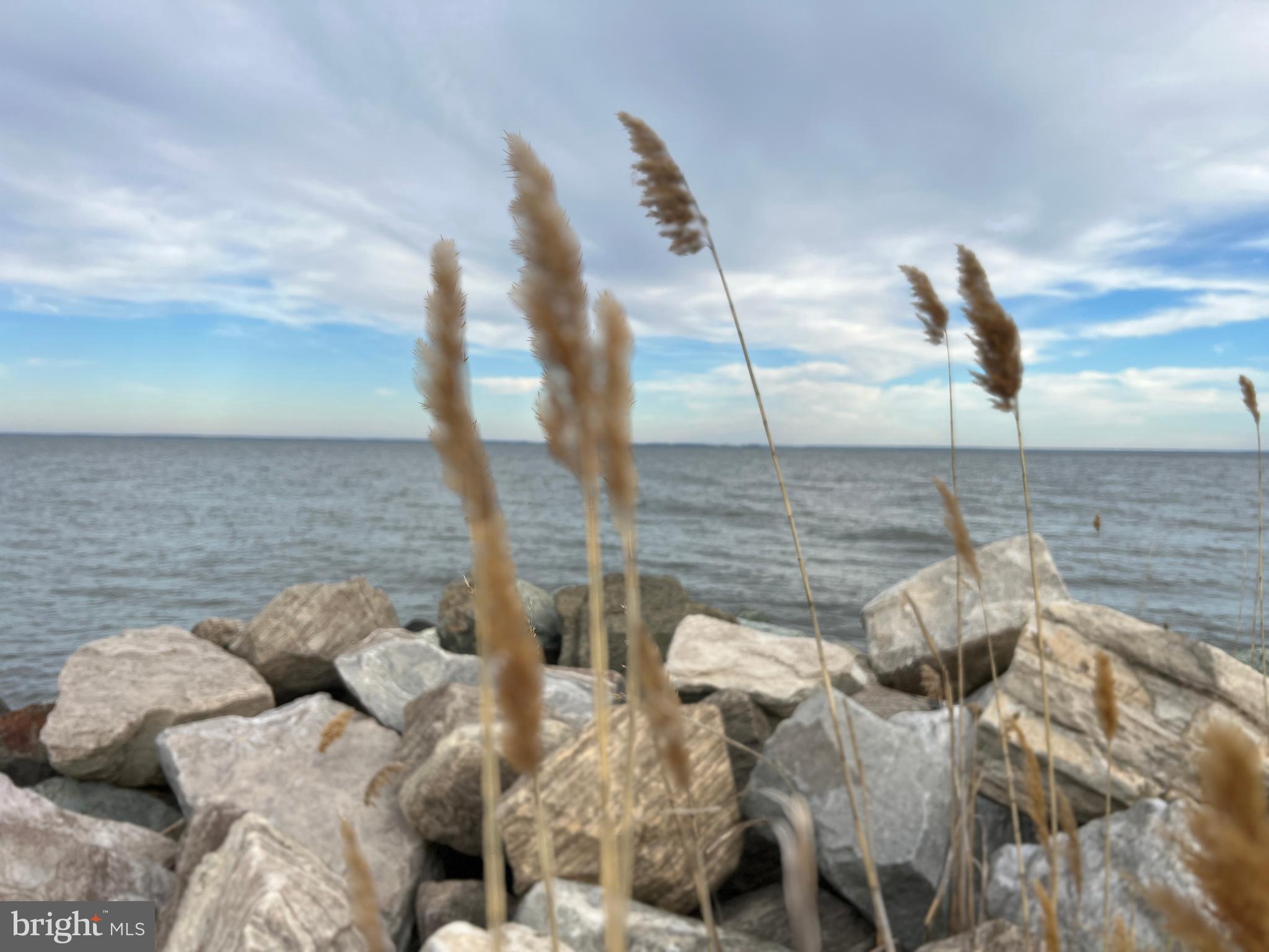 CEDARHURST ON THE BAY - Residential