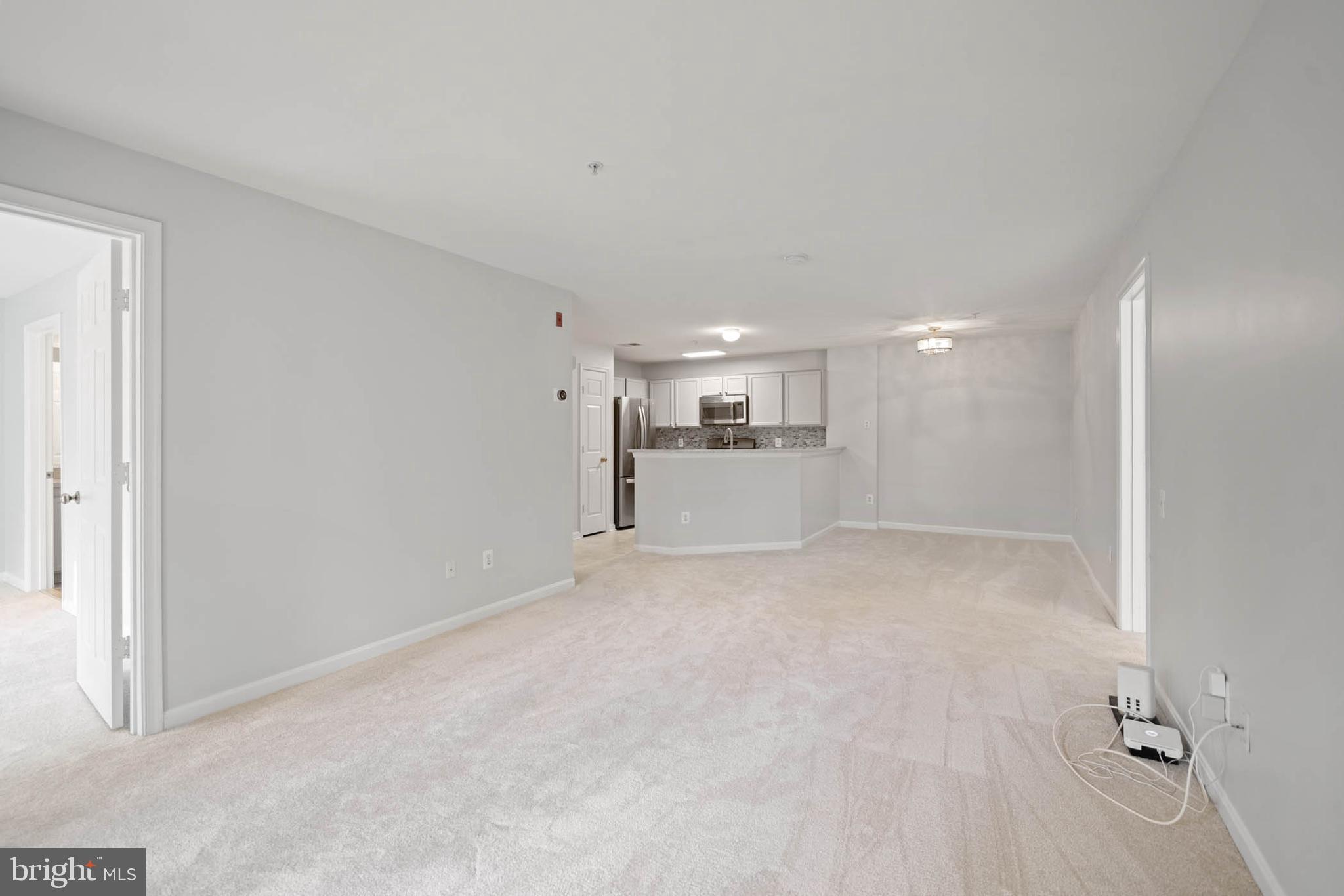18705 SPARKLING WATER DRIVE 202