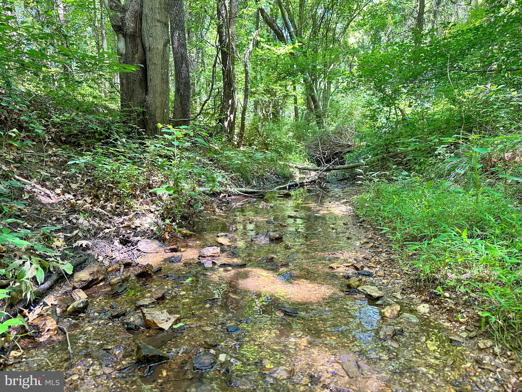 FOUNTAIN HILLS - Residential