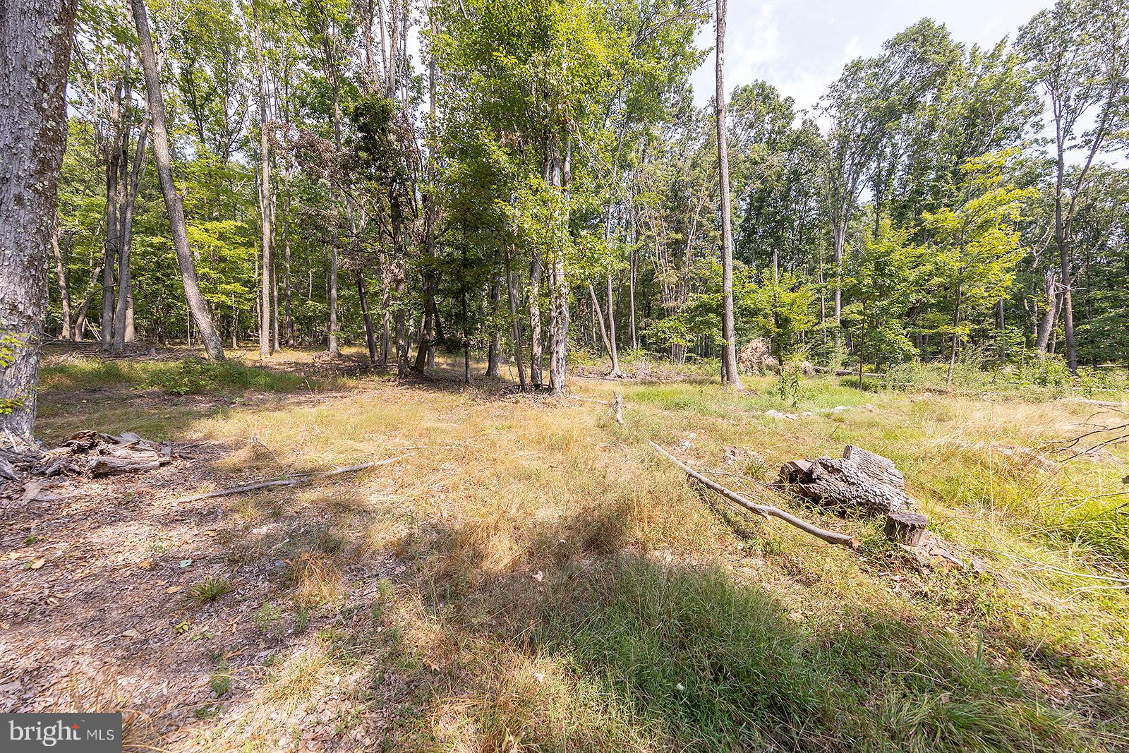 MOUNTAIN VIEW ESTATES - Residential