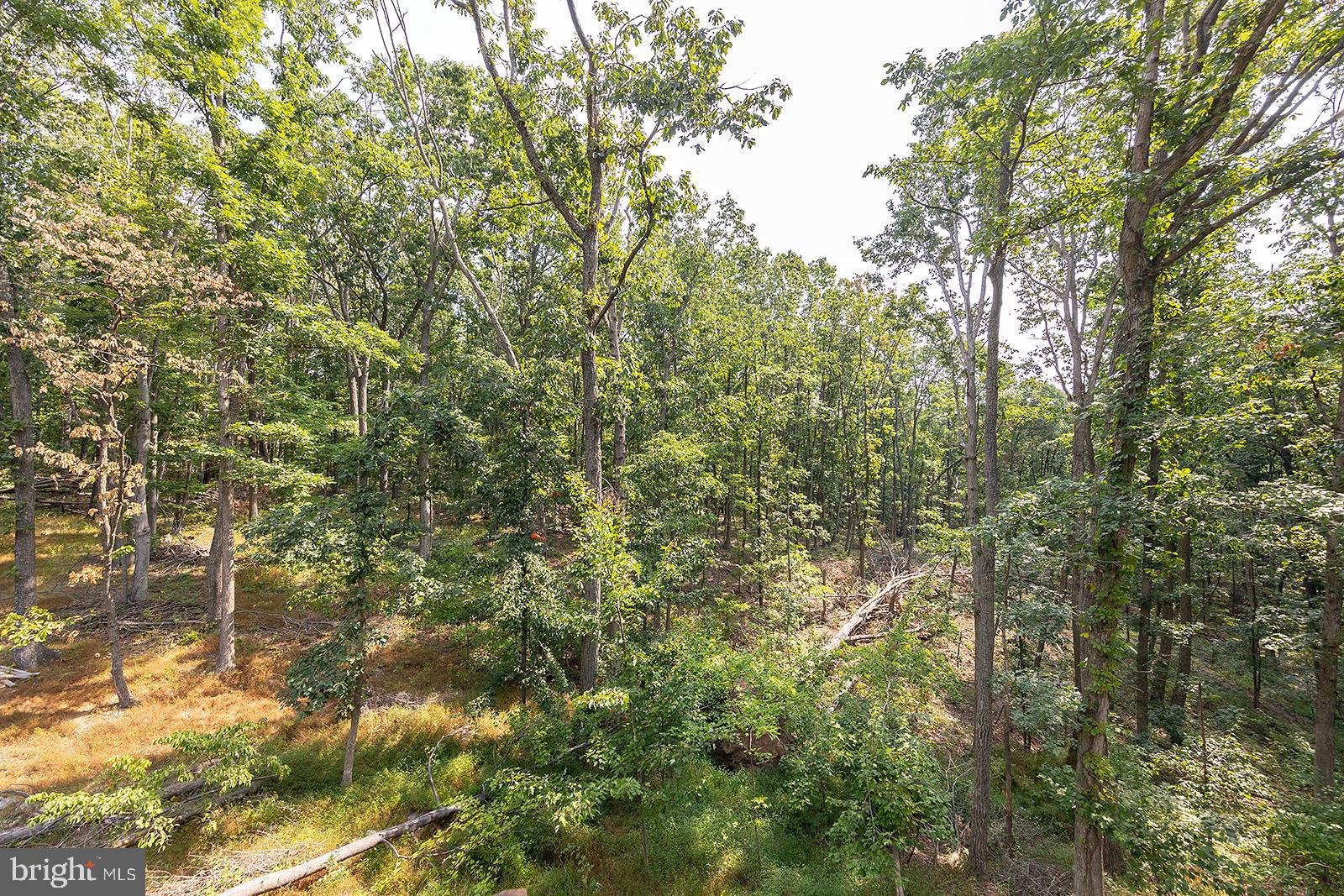 MOUNTAIN VIEW ESTATES - Residential