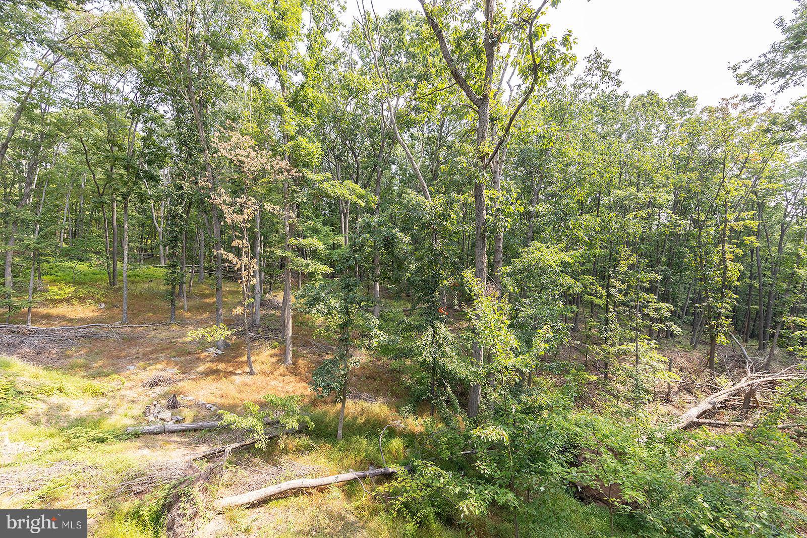 MOUNTAIN VIEW ESTATES - Residential