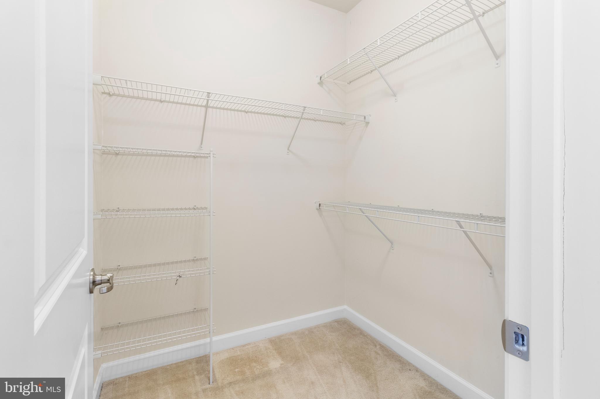 BALMORAL - Residential Lease